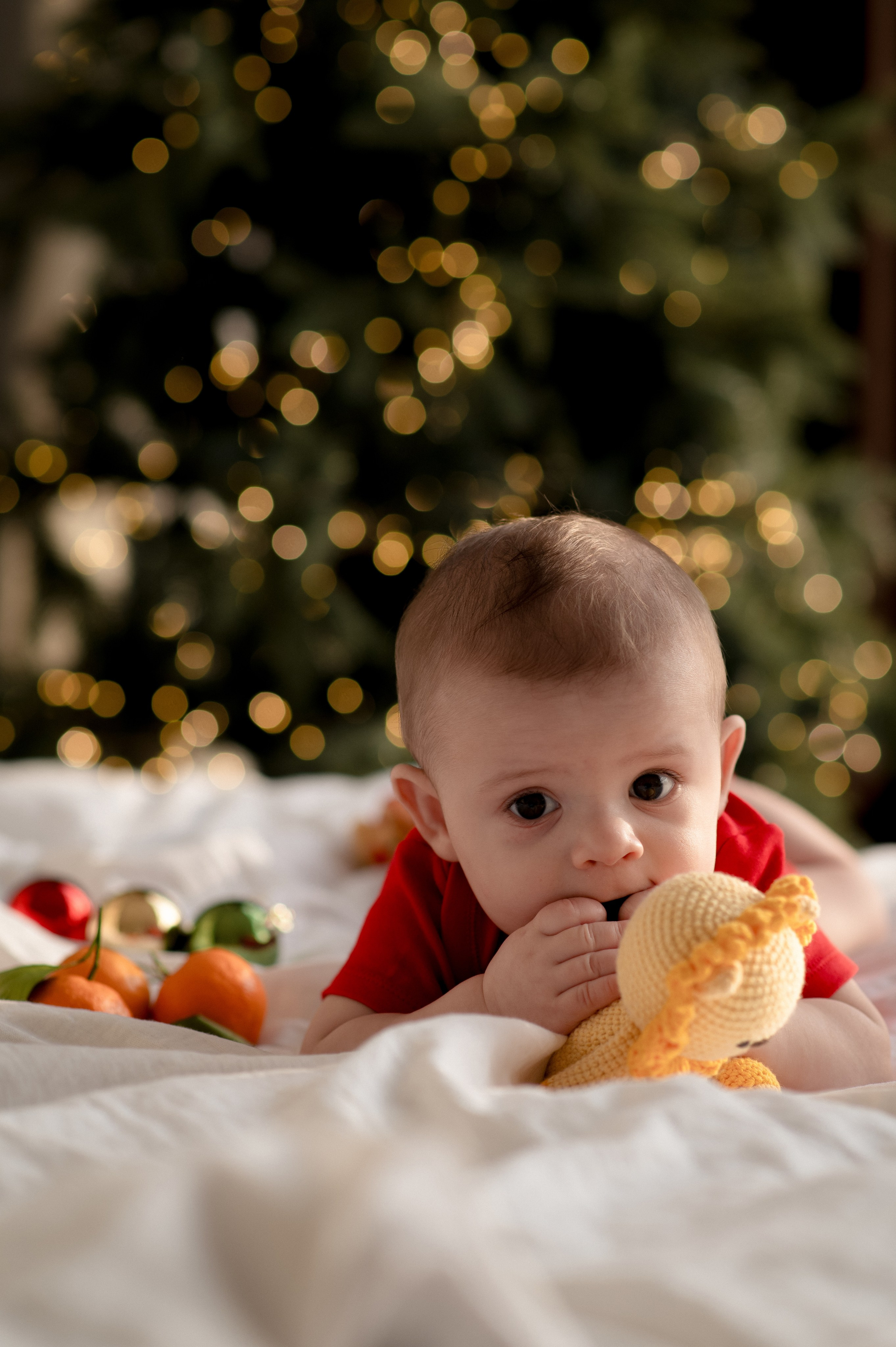 Семейная. Фотограф Барнаул Софья Бояринова