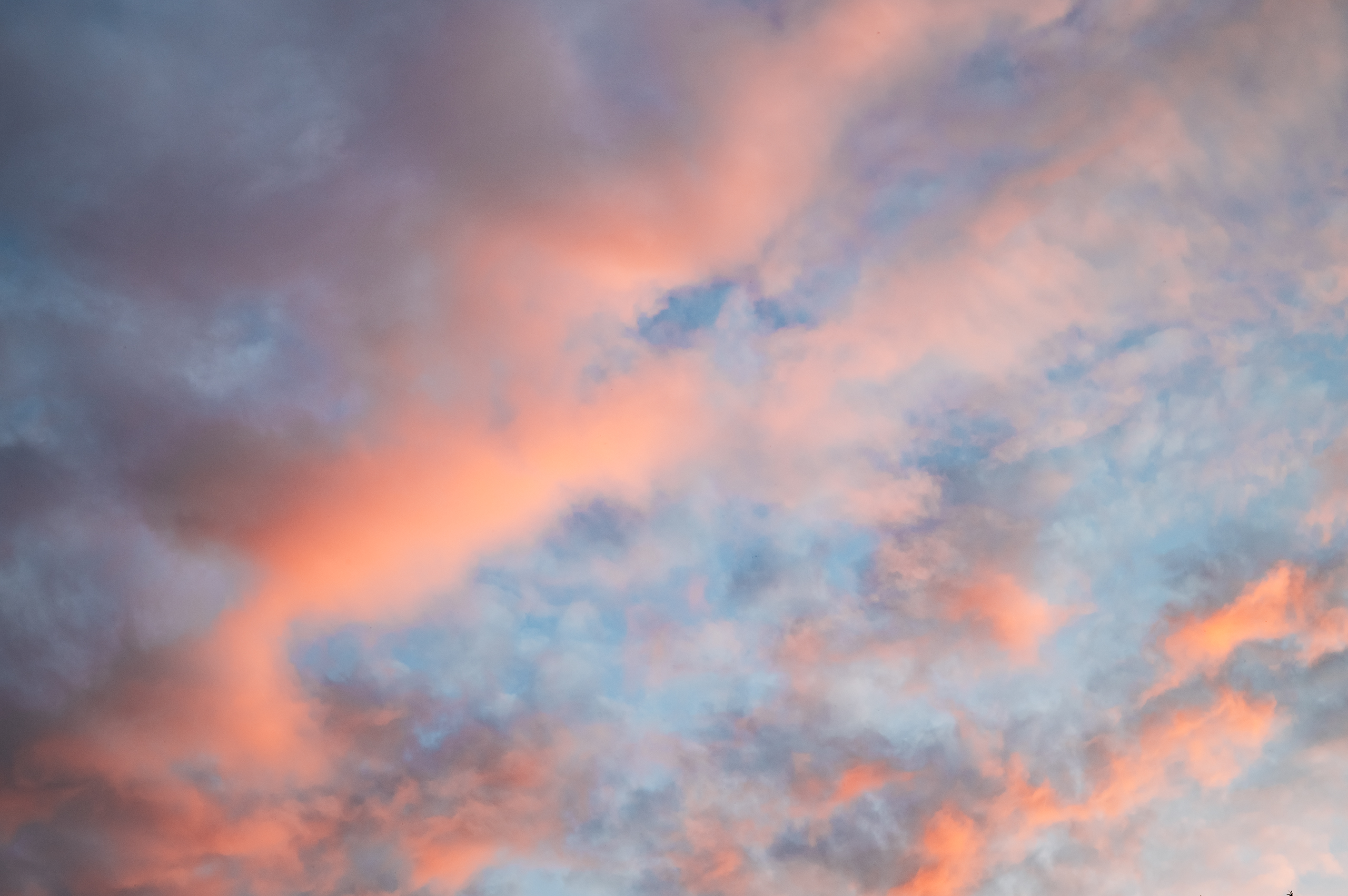 Небо видело всё. Komonev