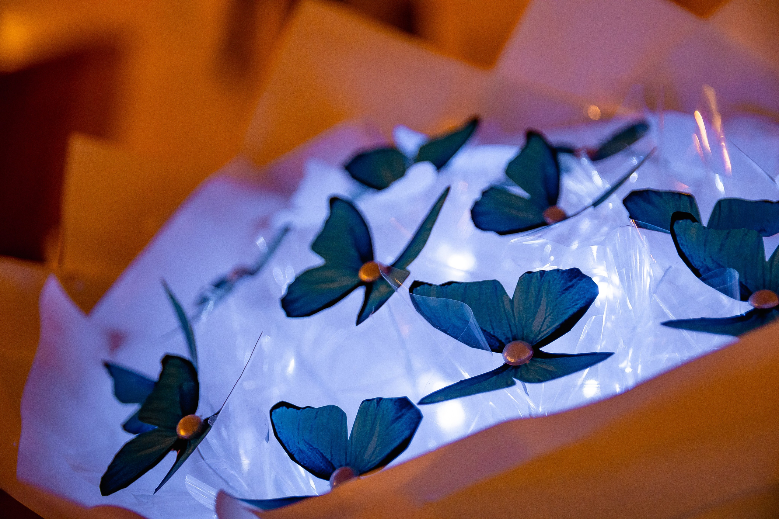 Марио. Фотограф Елена Медок Калининград