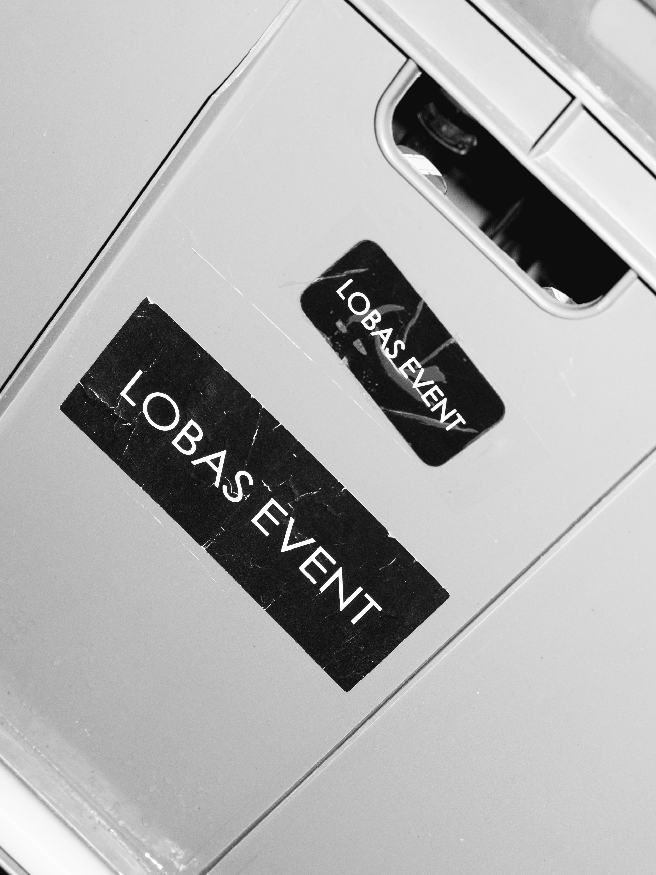 Lobas event bar. Свадебный фотограф Михаил Мирзоян