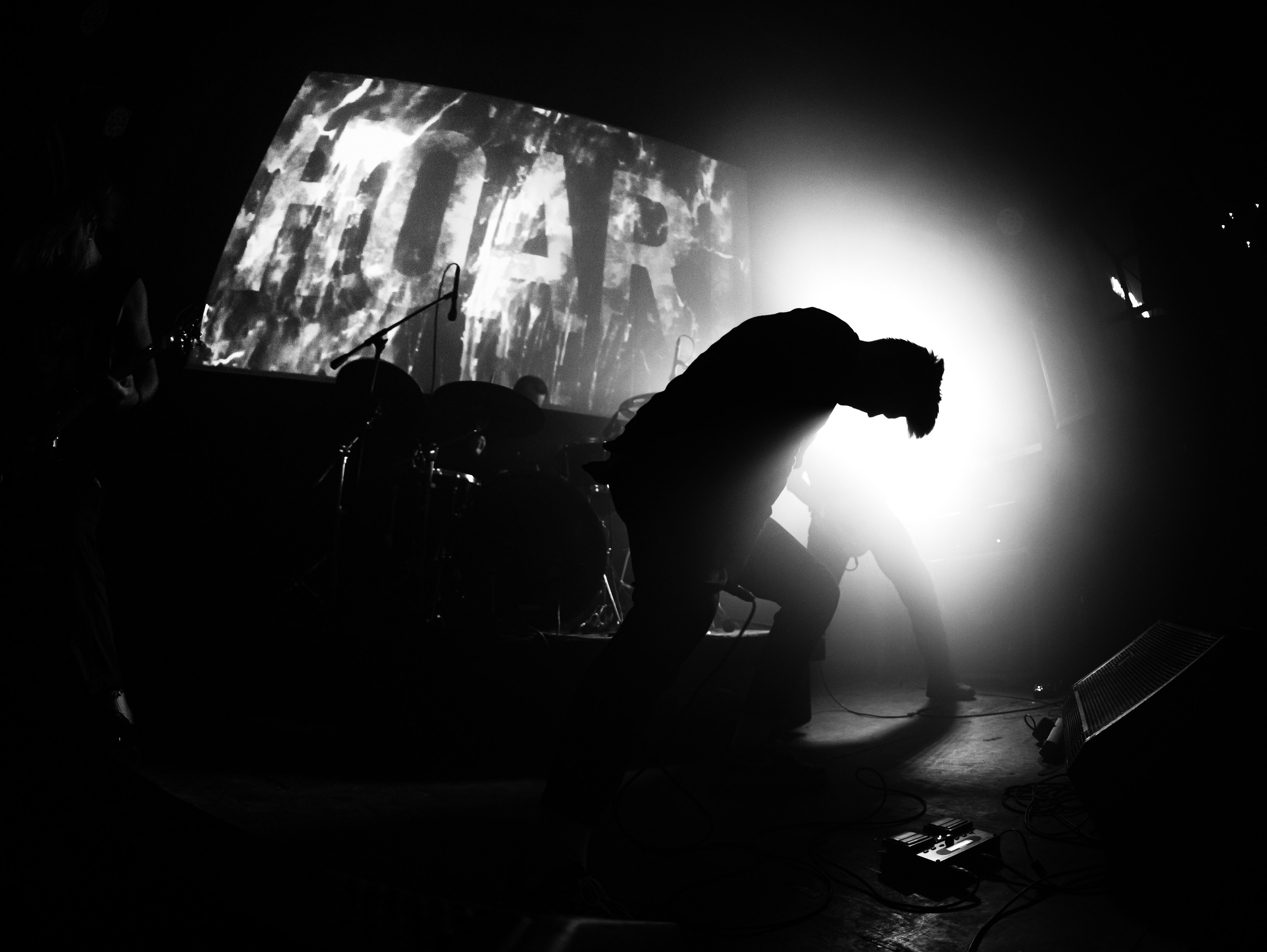 убийцы, никонов, джуна, hoari, црвених цветова, 