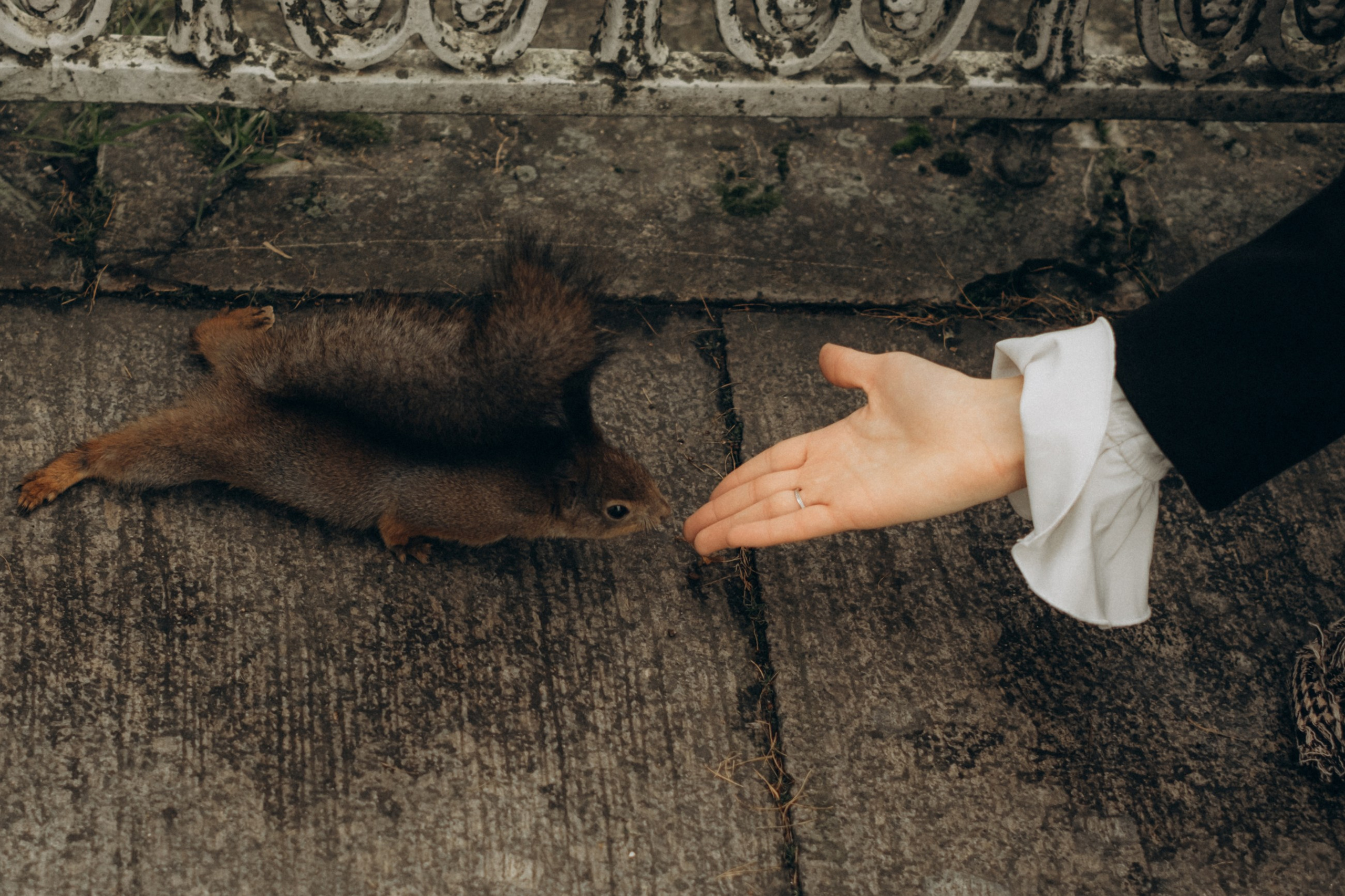 Татя и антон. Свадебный и Семейный Фотограф в Гатчине и Санкт-Петербурге Виктория