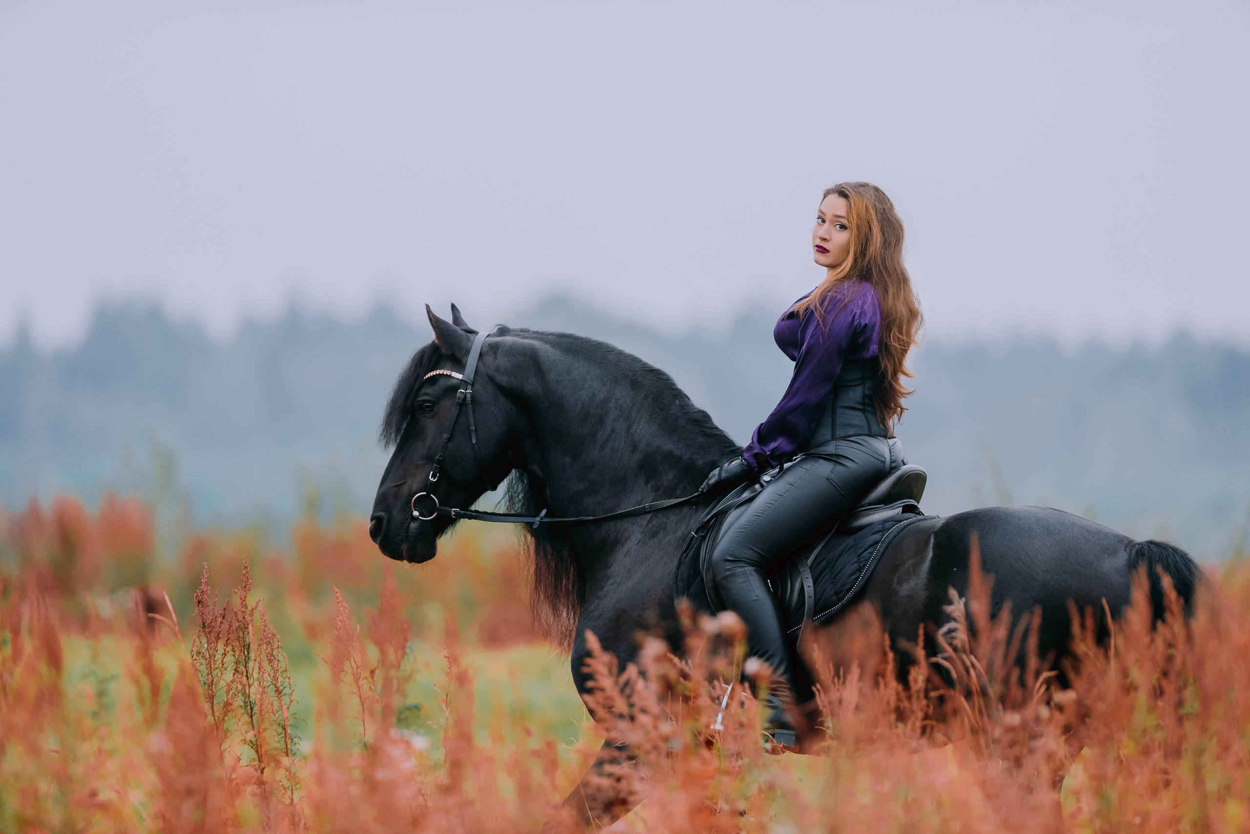 Маша и Брабус. Фотограф-анималист Ксендзова Кристина