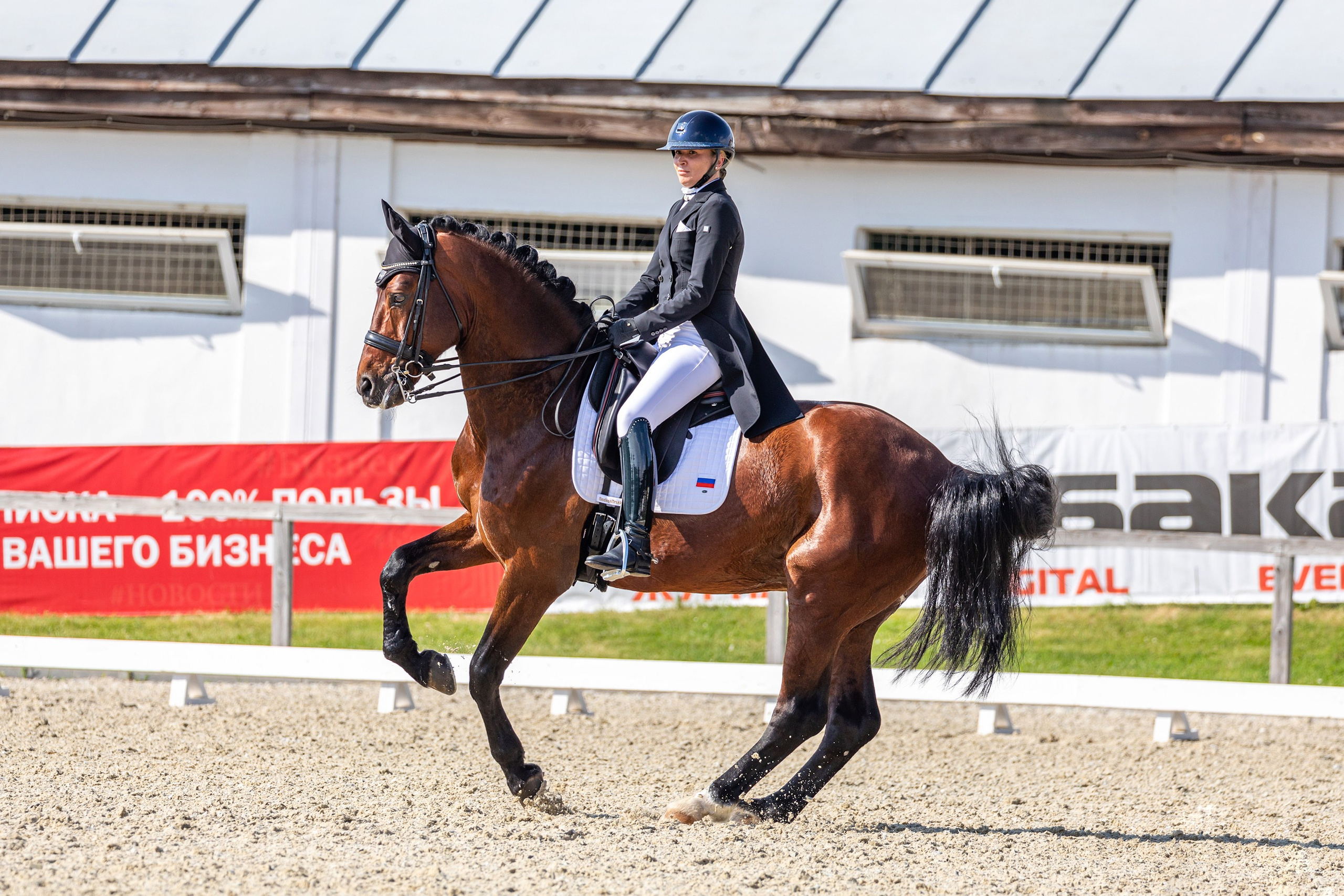 Выездка. Mrs.Aquarelia Конный фотограф Марианна Леонтьева