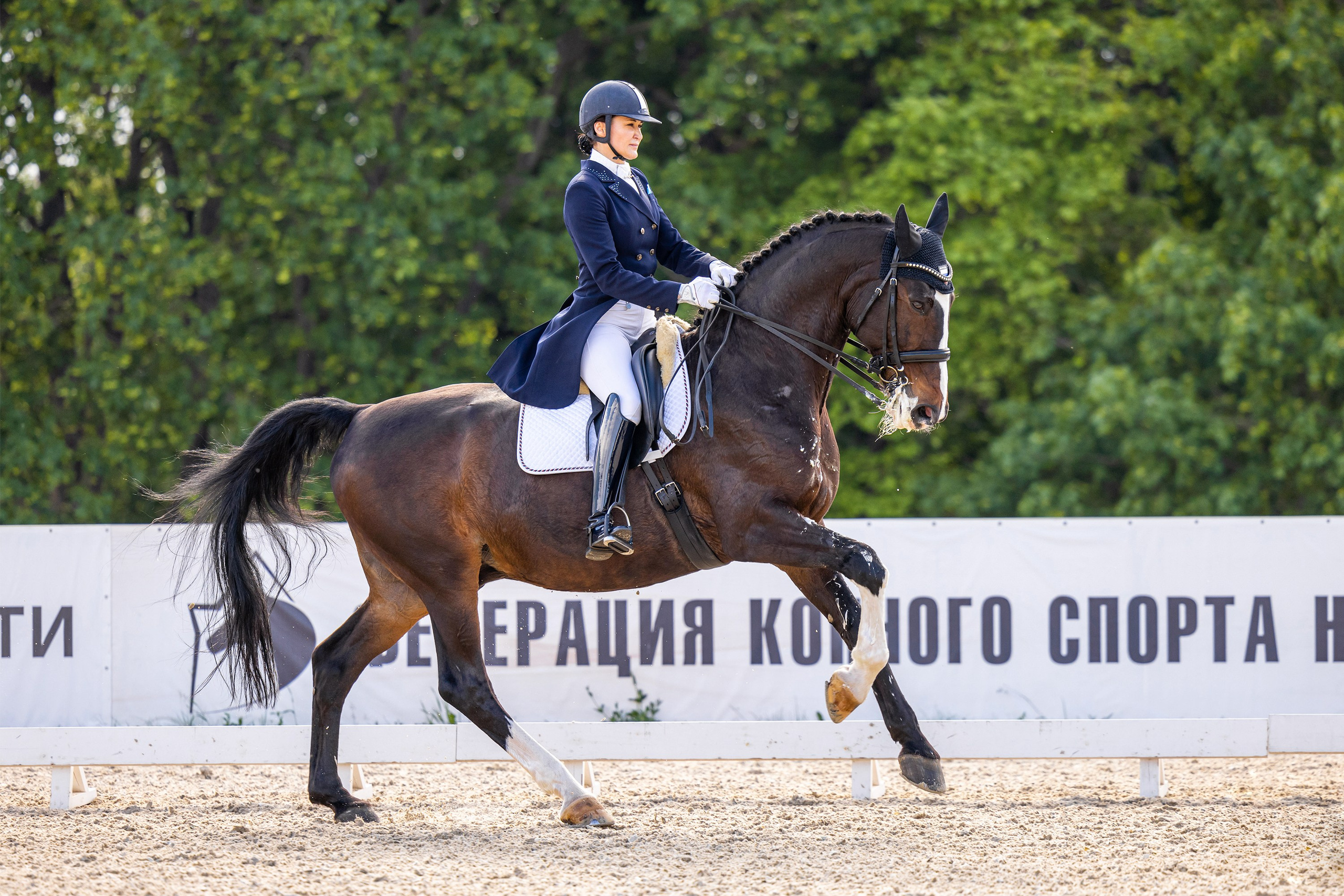Выездка. Mrs.Aquarelia Конный фотограф Марианна Леонтьева