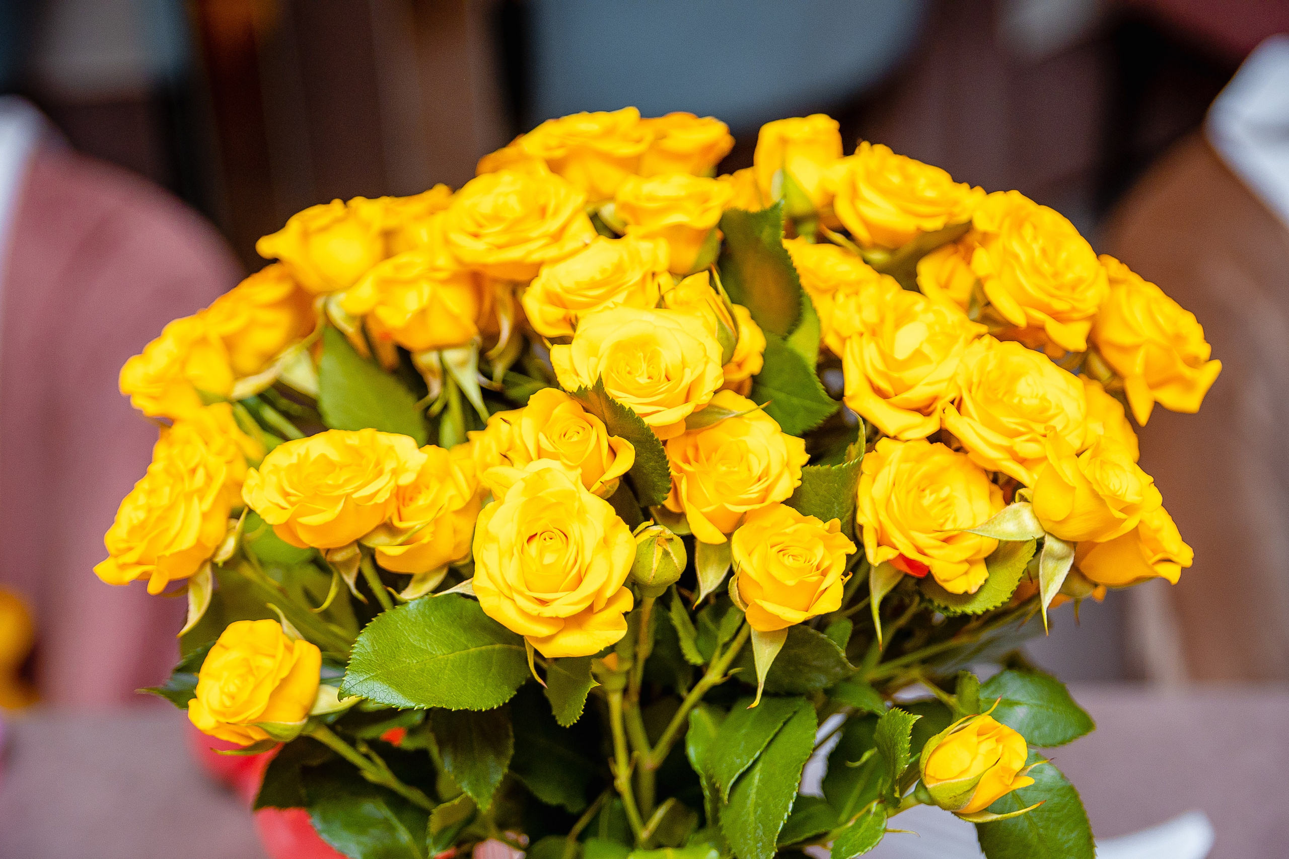 Марио. Фотограф Елена Медок Калининград