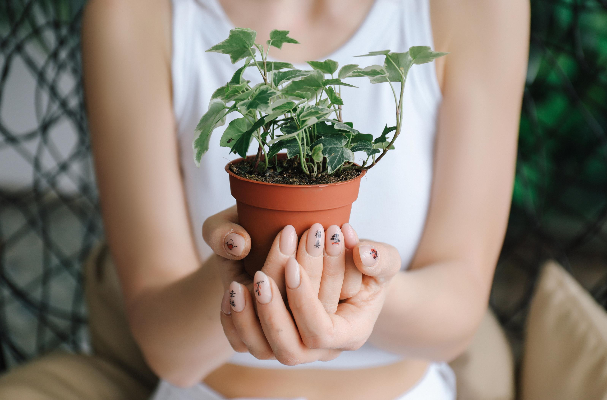 Флорист. Алина Малышева, свадебный и семейный фотограф Москва