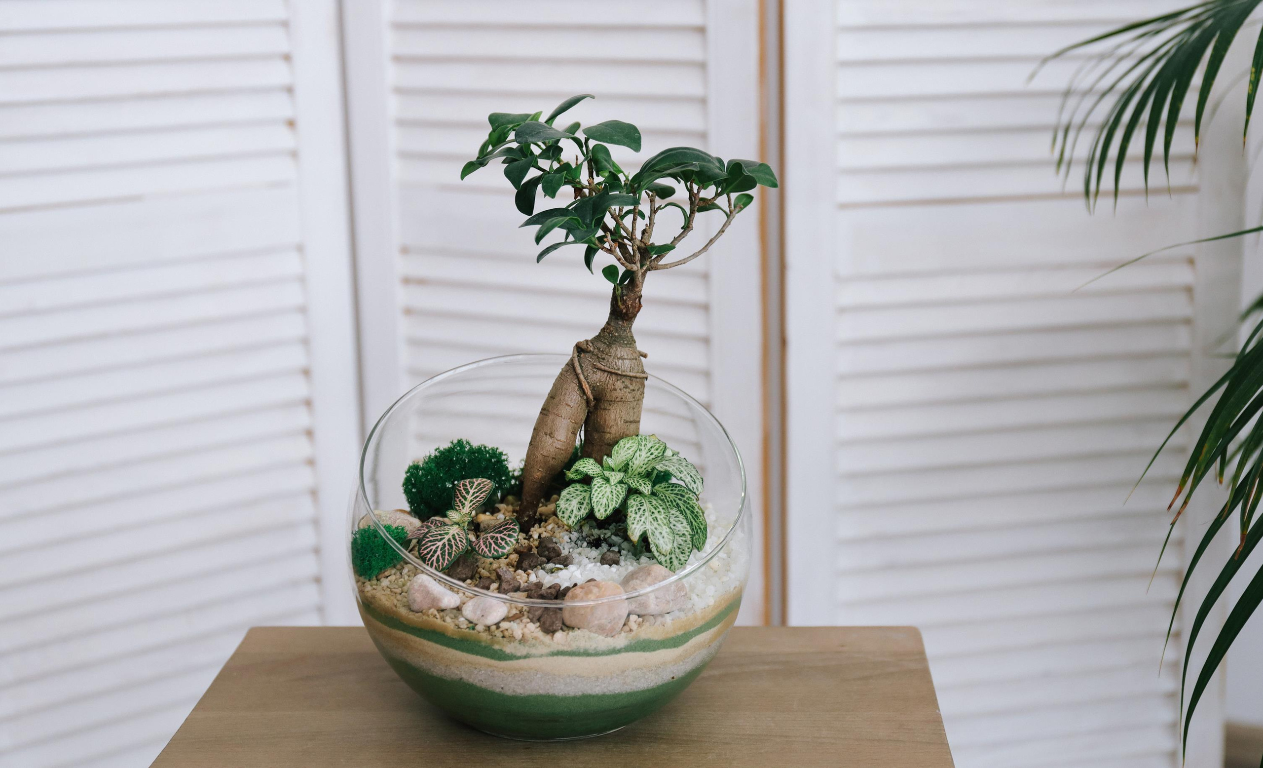 Флорист. Алина Малышева, свадебный и семейный фотограф Москва