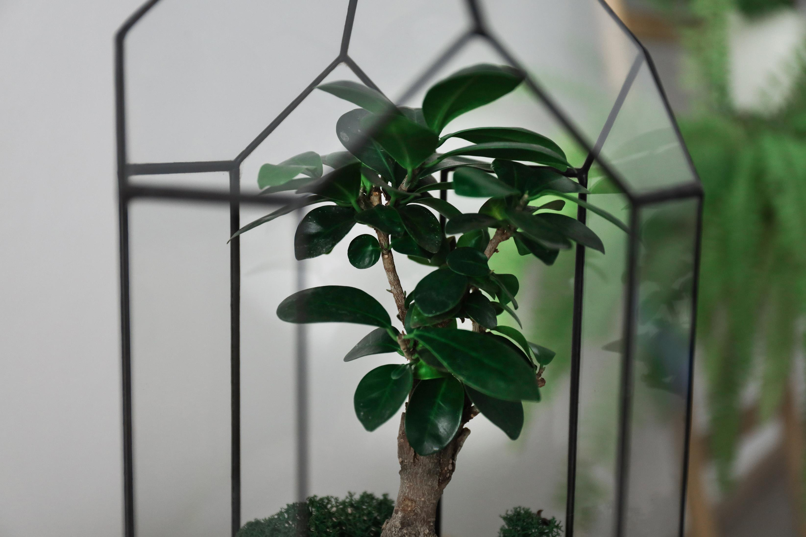 Флорист. Алина Малышева, свадебный и семейный фотограф Москва