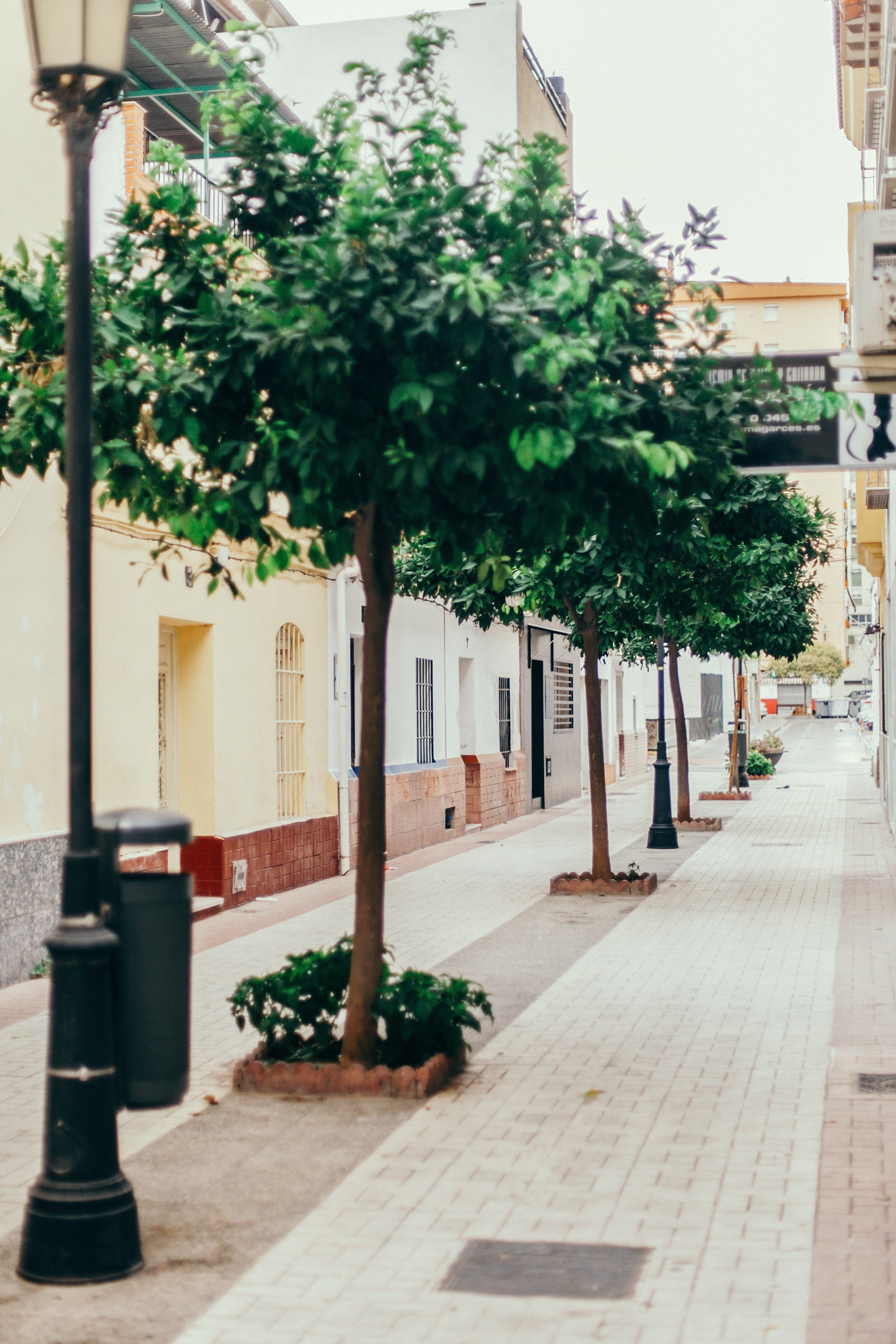 Малага. Аня Степанова