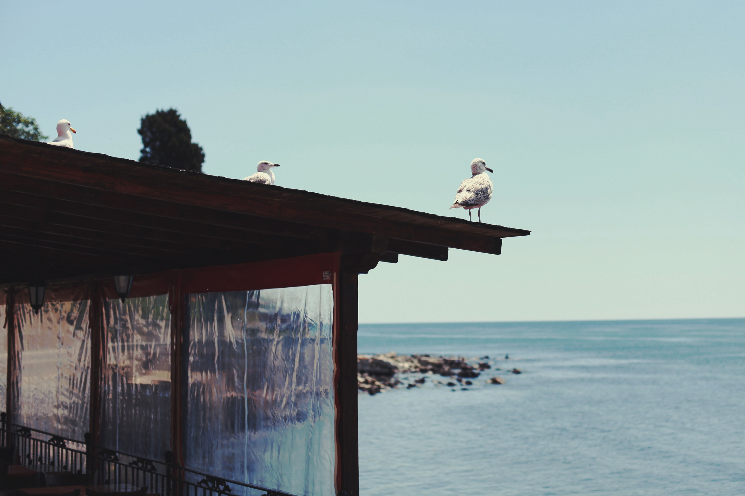 Болгария. Аня Степанова