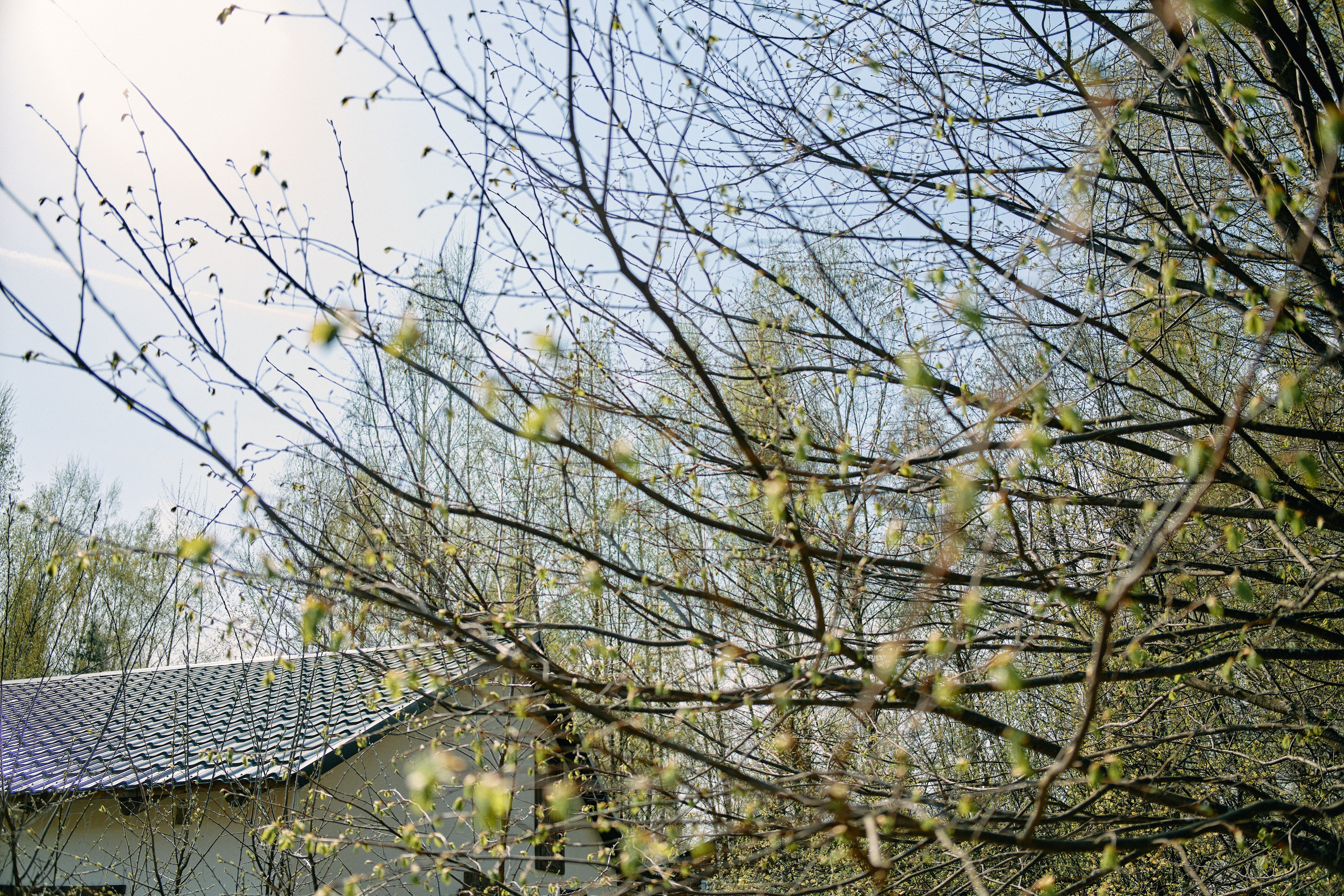Бутик-отель Поле летом. Профессиональный Фотограф во Владимире, в Москве и в Суздале — Полина Романычева