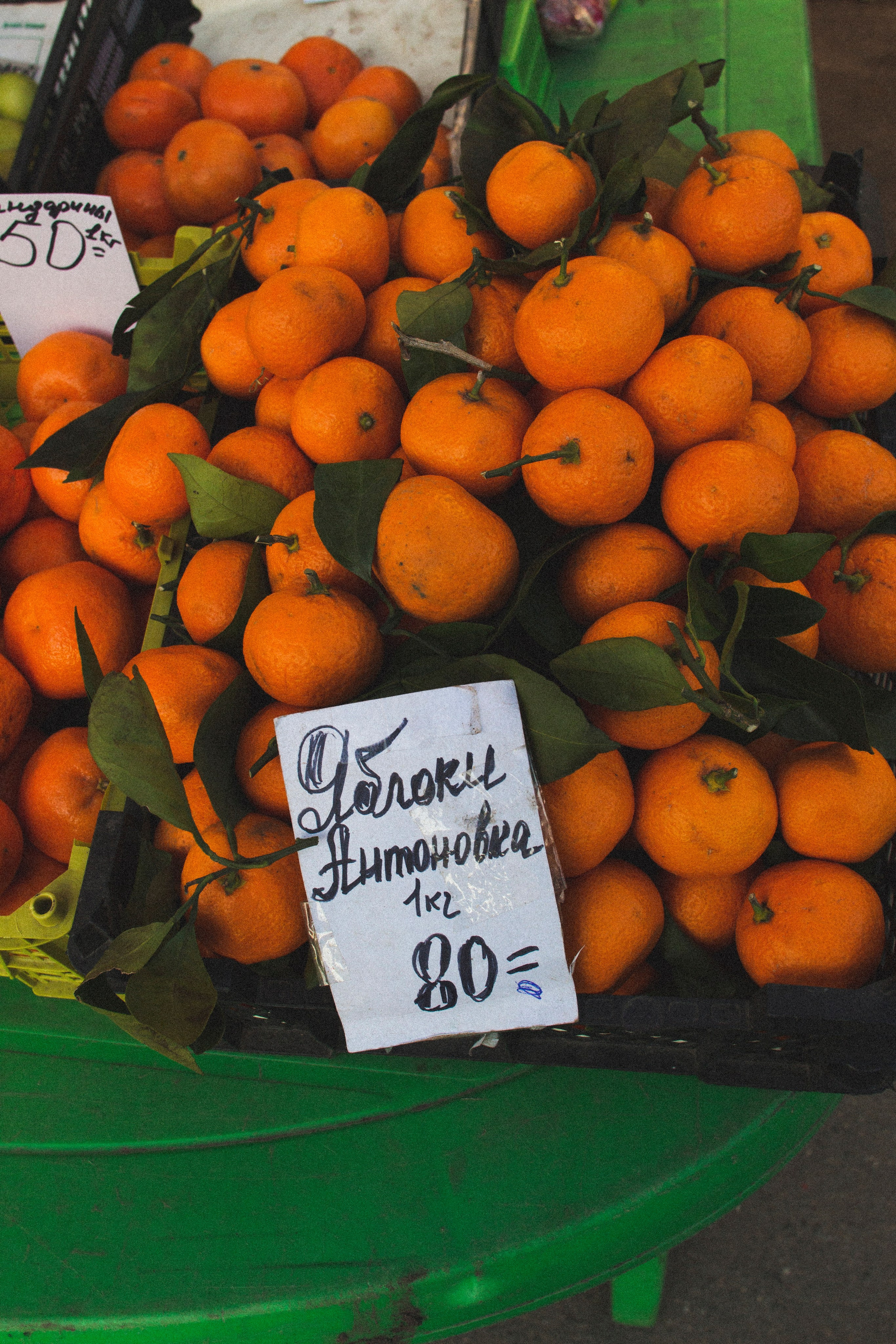 Великий Новгород. Фотограф Адигамова Юлия в Петербурге