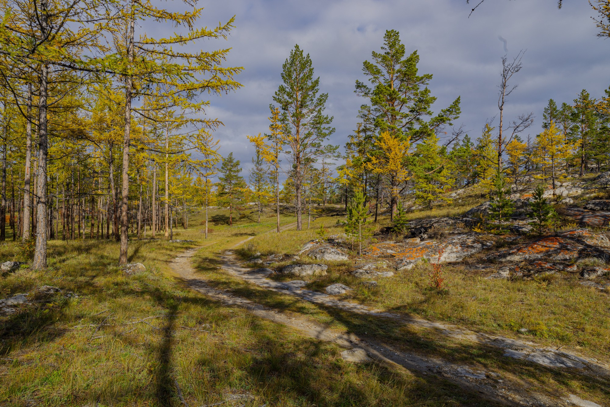 Пейзажи. Семейный и свадебный фотограф в Иркутске Максим Жигалов