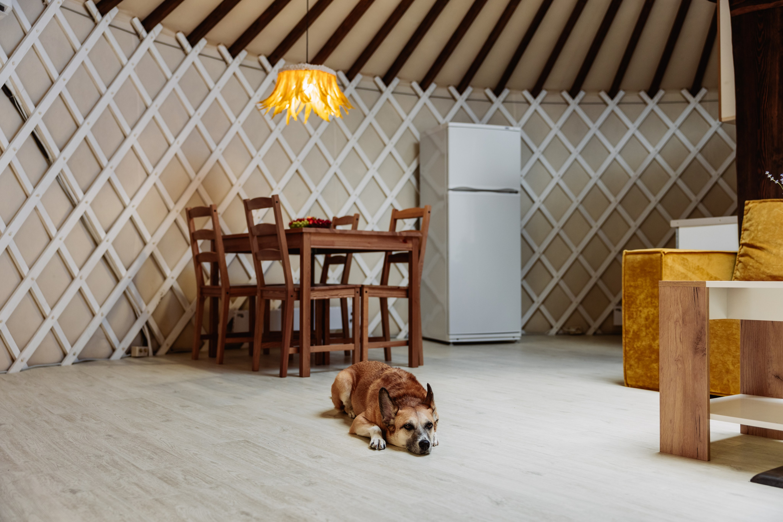 БЕРЕЗКА ВИЛАДЖ | Глэмпинг в Коломне | Юрта «Янтарная». ФОТОГРАФ ИРИНА ШАМАТАВА