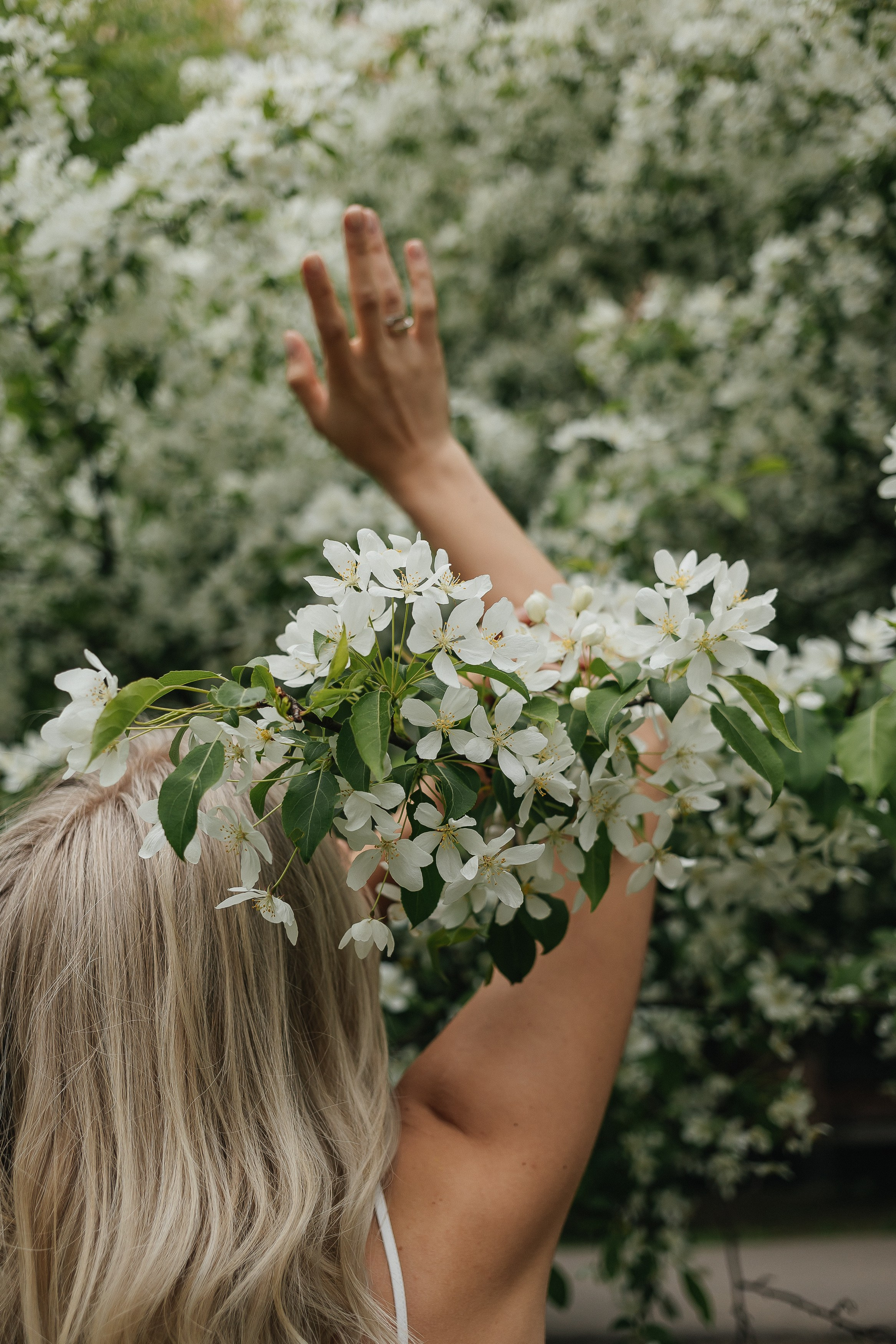 Цветение🌸. Фотограф Москва, Балашиха, МО. Свадьбы, репортажи, контент, портреты
