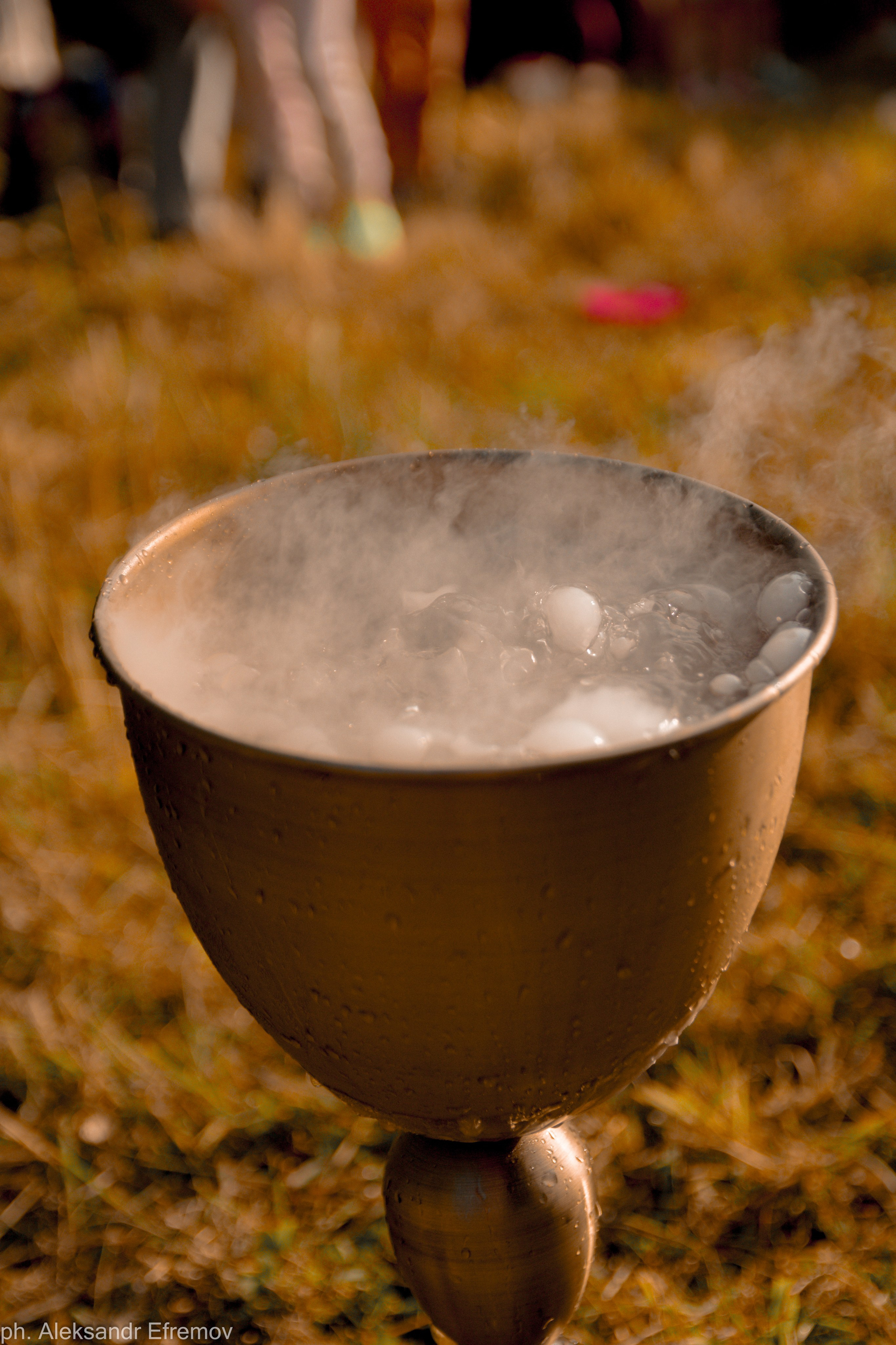 Репортажные фотографии. Alex Andr фотограф Москва и МО