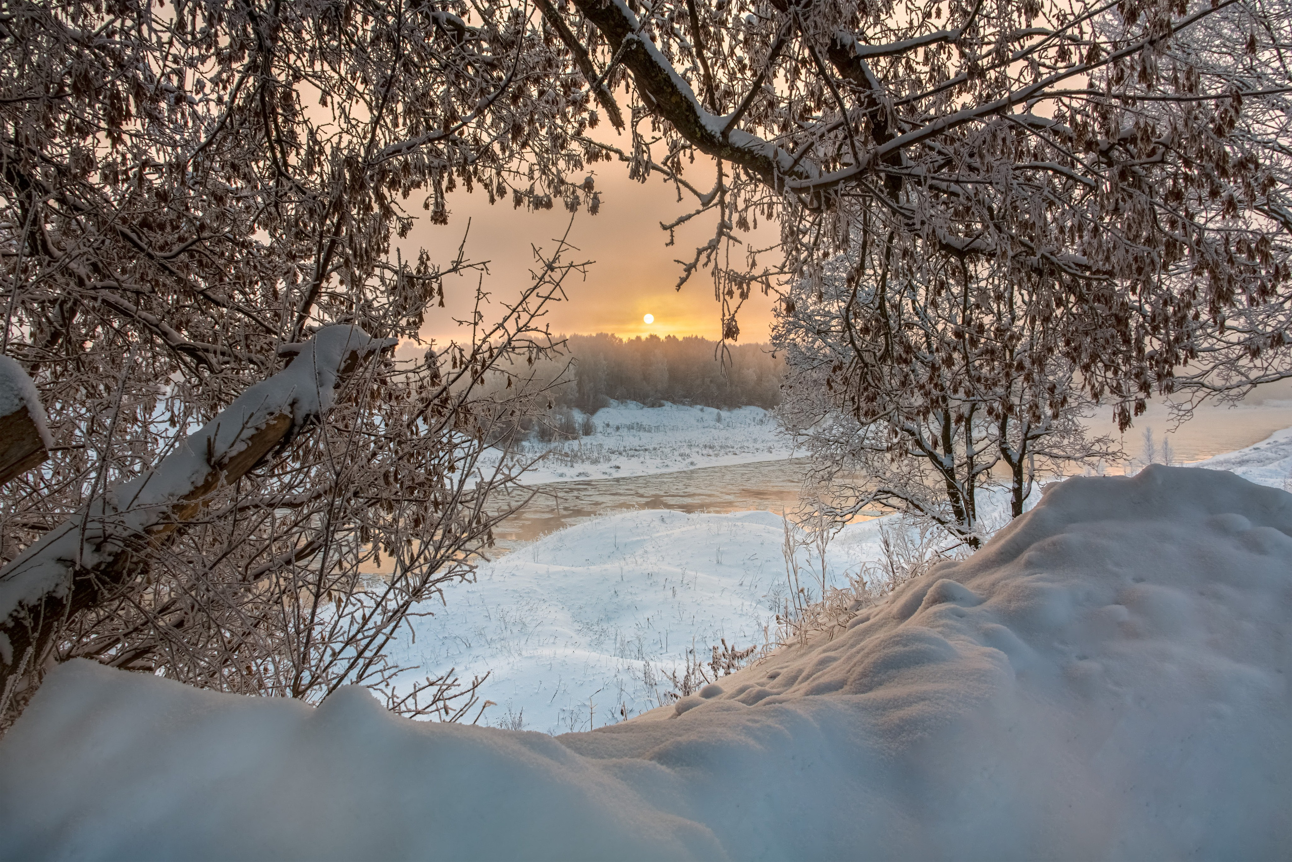 Фото Павла Крайникова