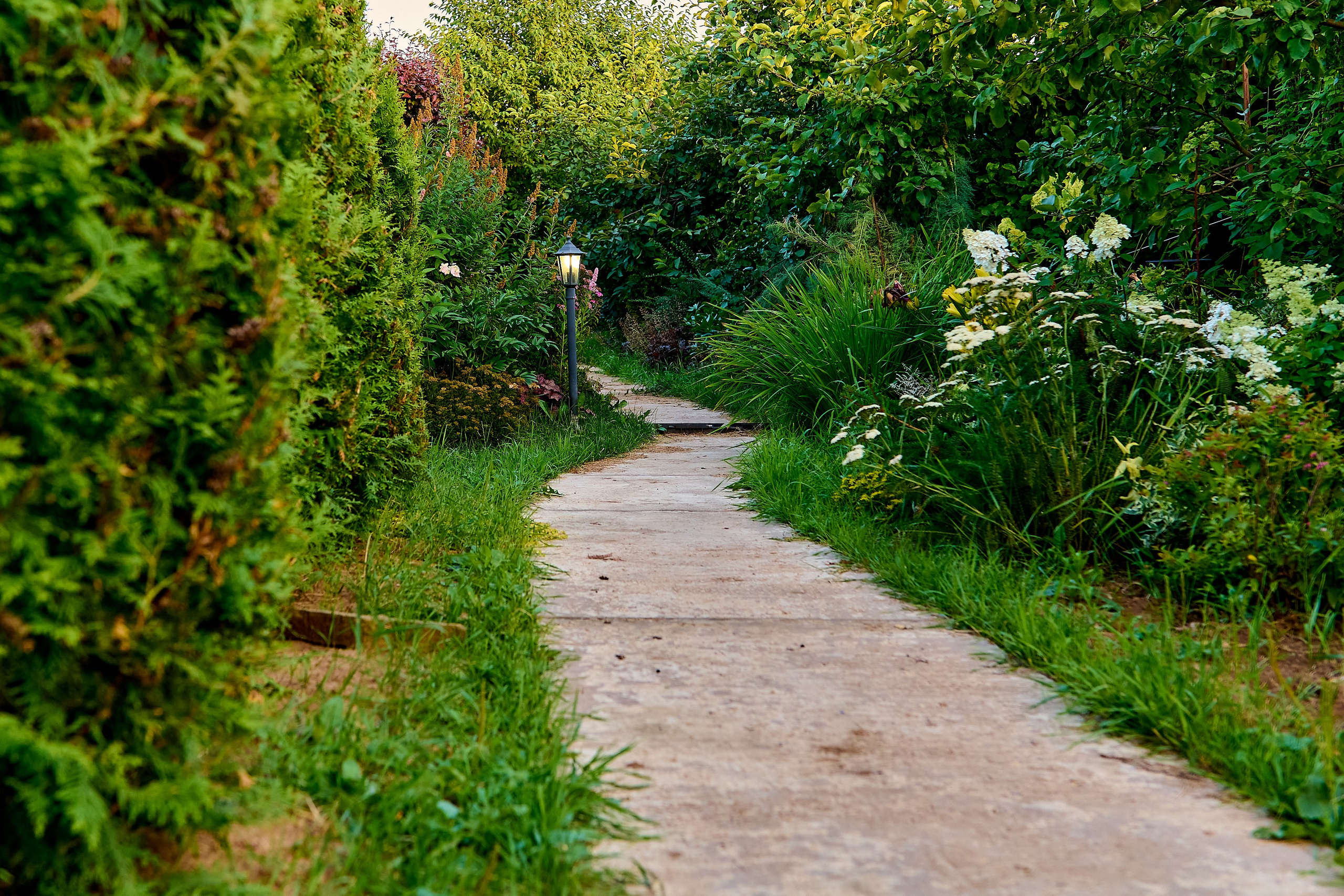 Фотосъёмка ландшафтных рабт