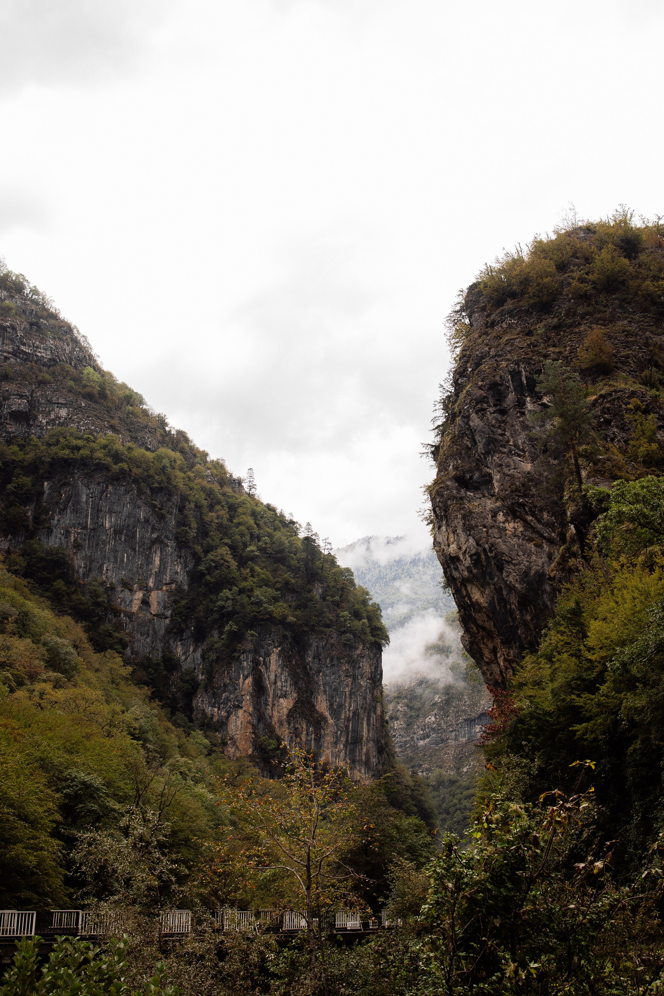 Рита (Абхазия). Семейный свадебный фотограф Семен Егоров