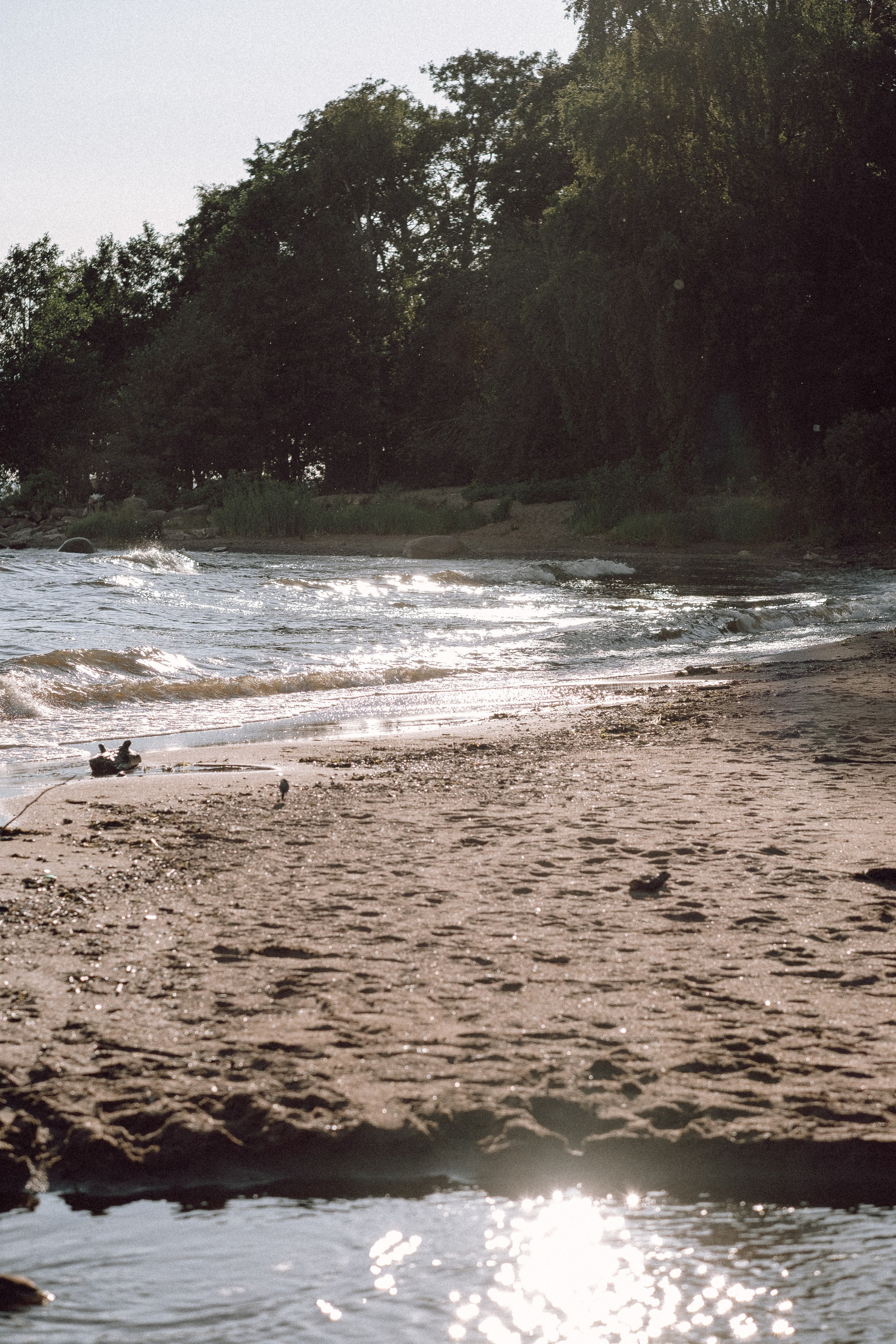 ПРОГУЛКА НА БЕРЕГУ ФИНСКОГО ЗАЛИВА. Профессиональный фотограф, Санкт-Петербург — Виктория Богомолова