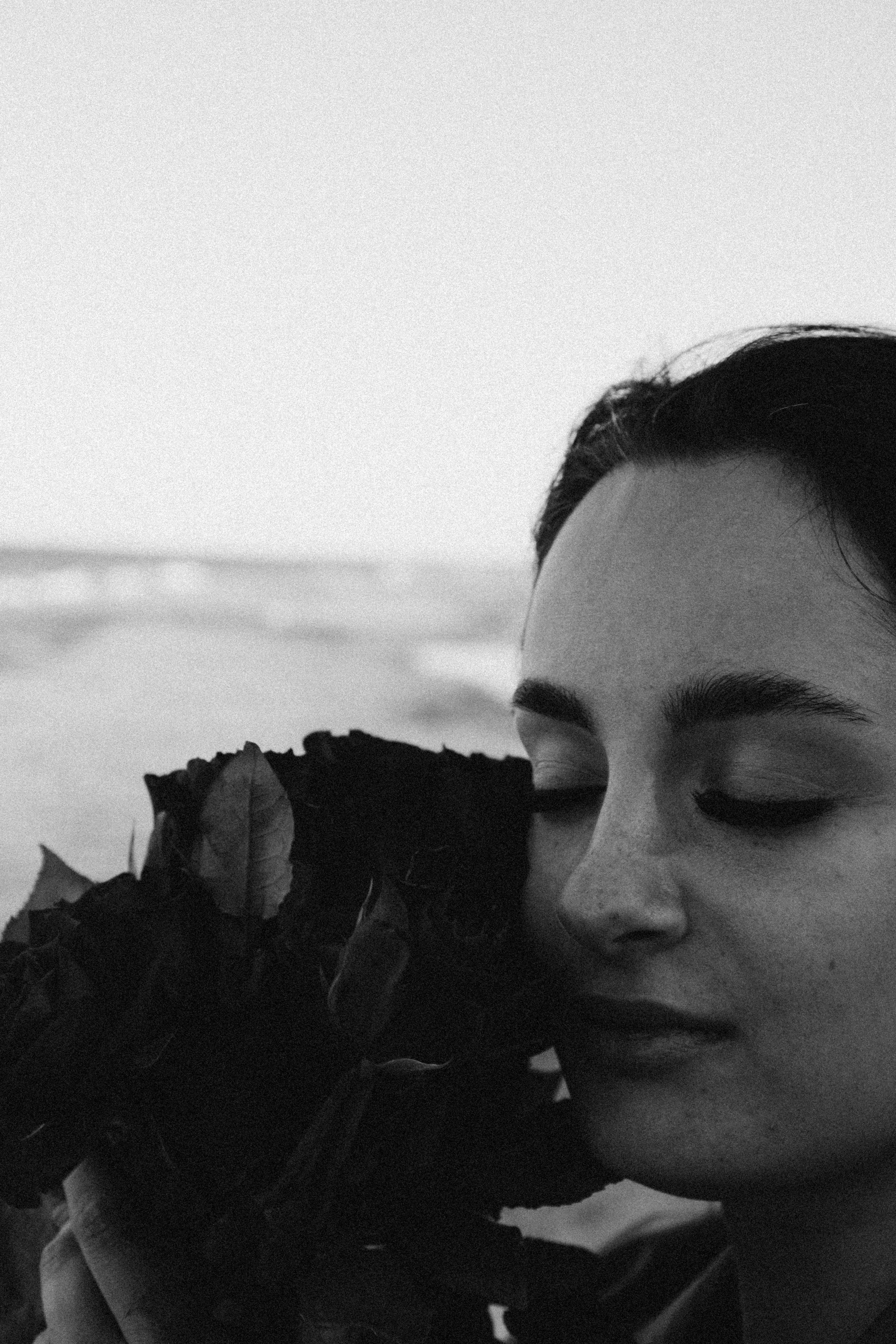 Розы. Профессиональный фотограф, Санкт-Петербург — Виктория Богомолова