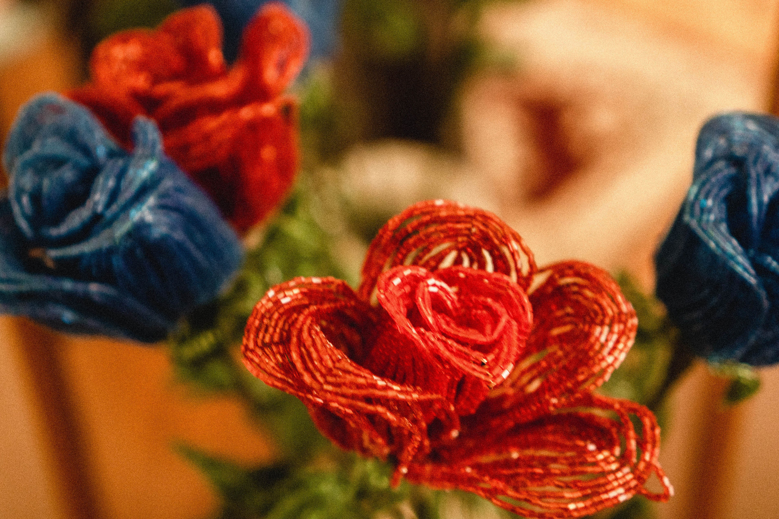 Кавказ. Профессиональный фотограф, Санкт-Петербург — Виктория Богомолова