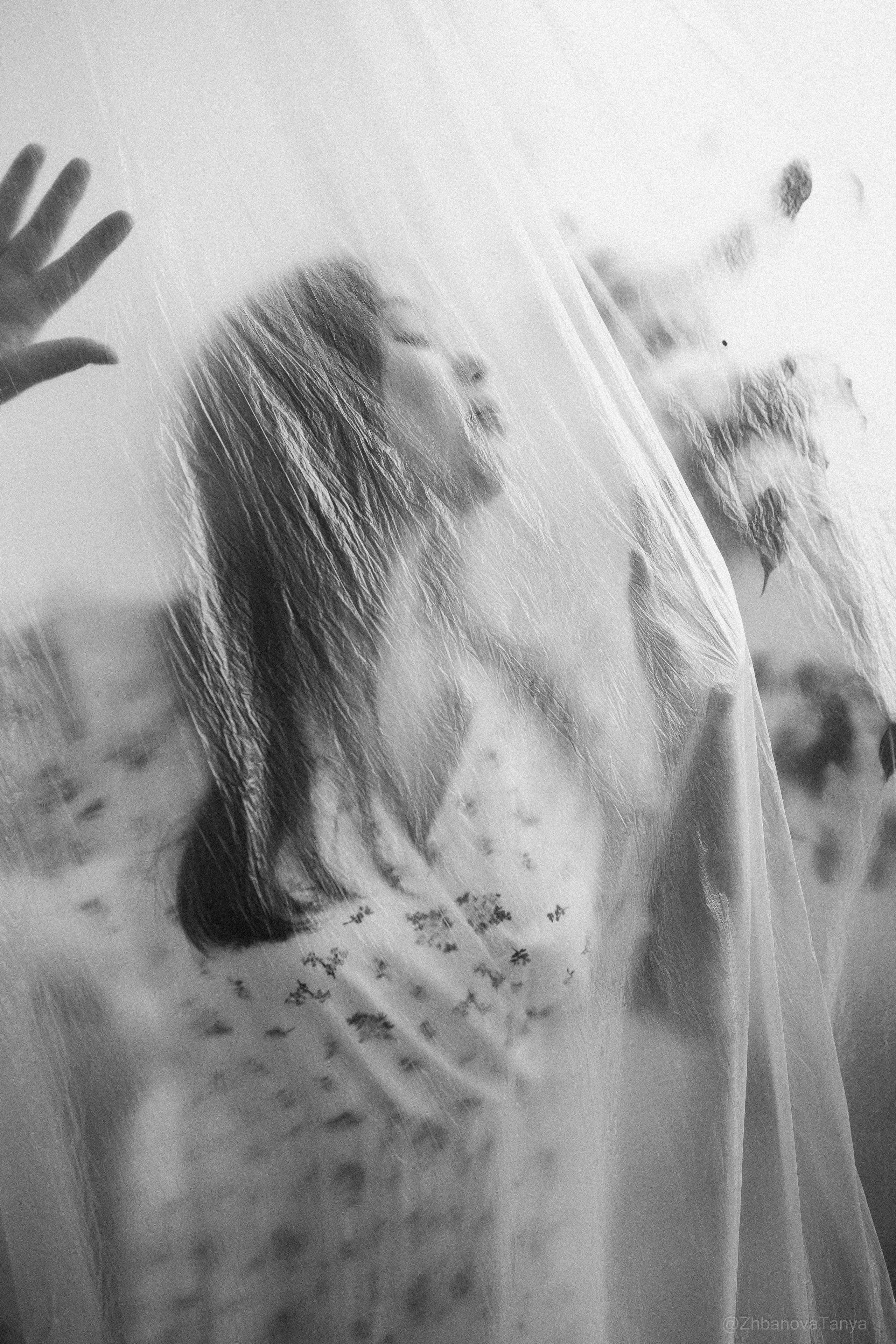 Индивидуальная. Фотограф Татьяна Жбанова