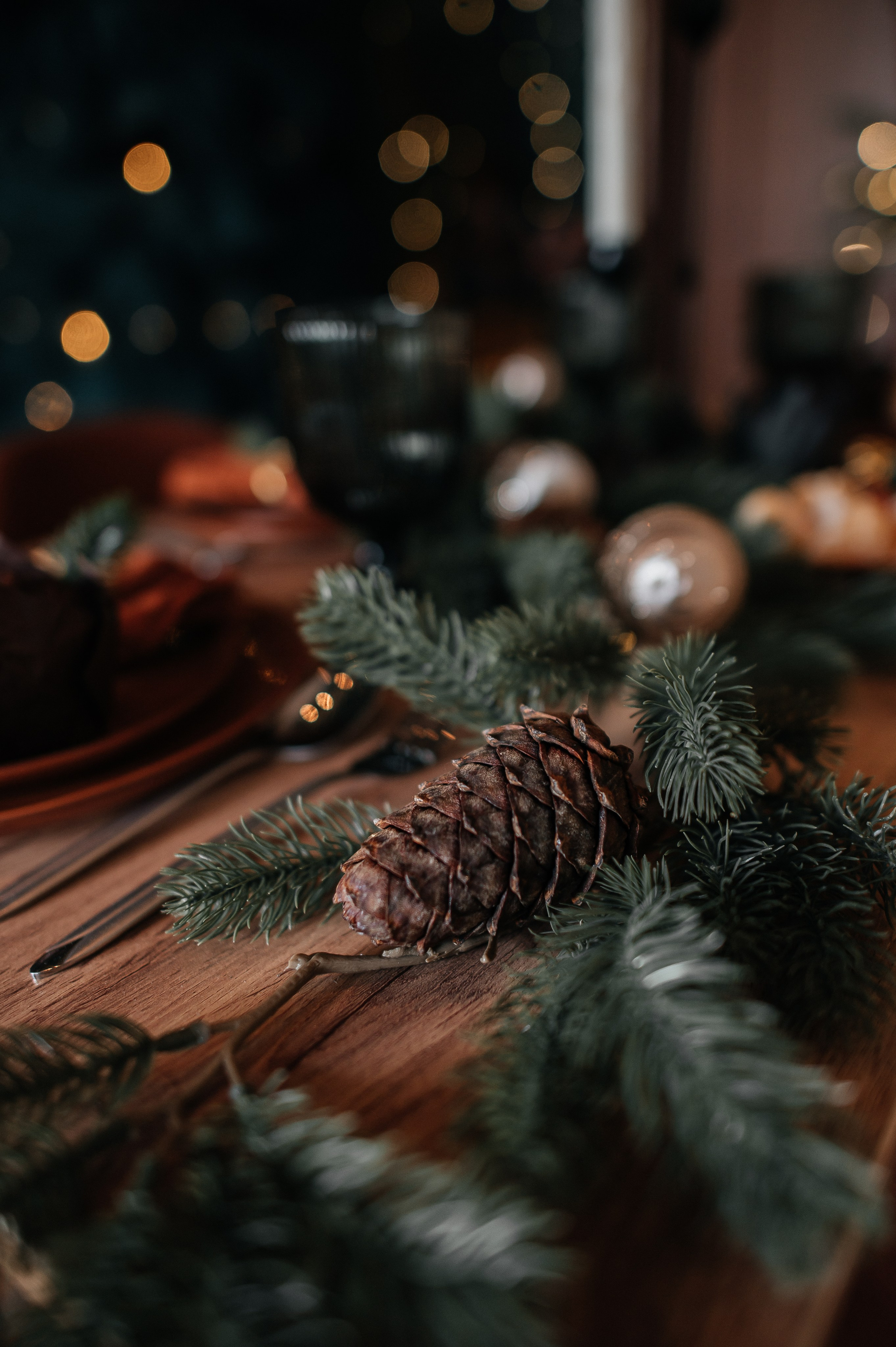 Look. Свадебный фотограф в новокузнецке