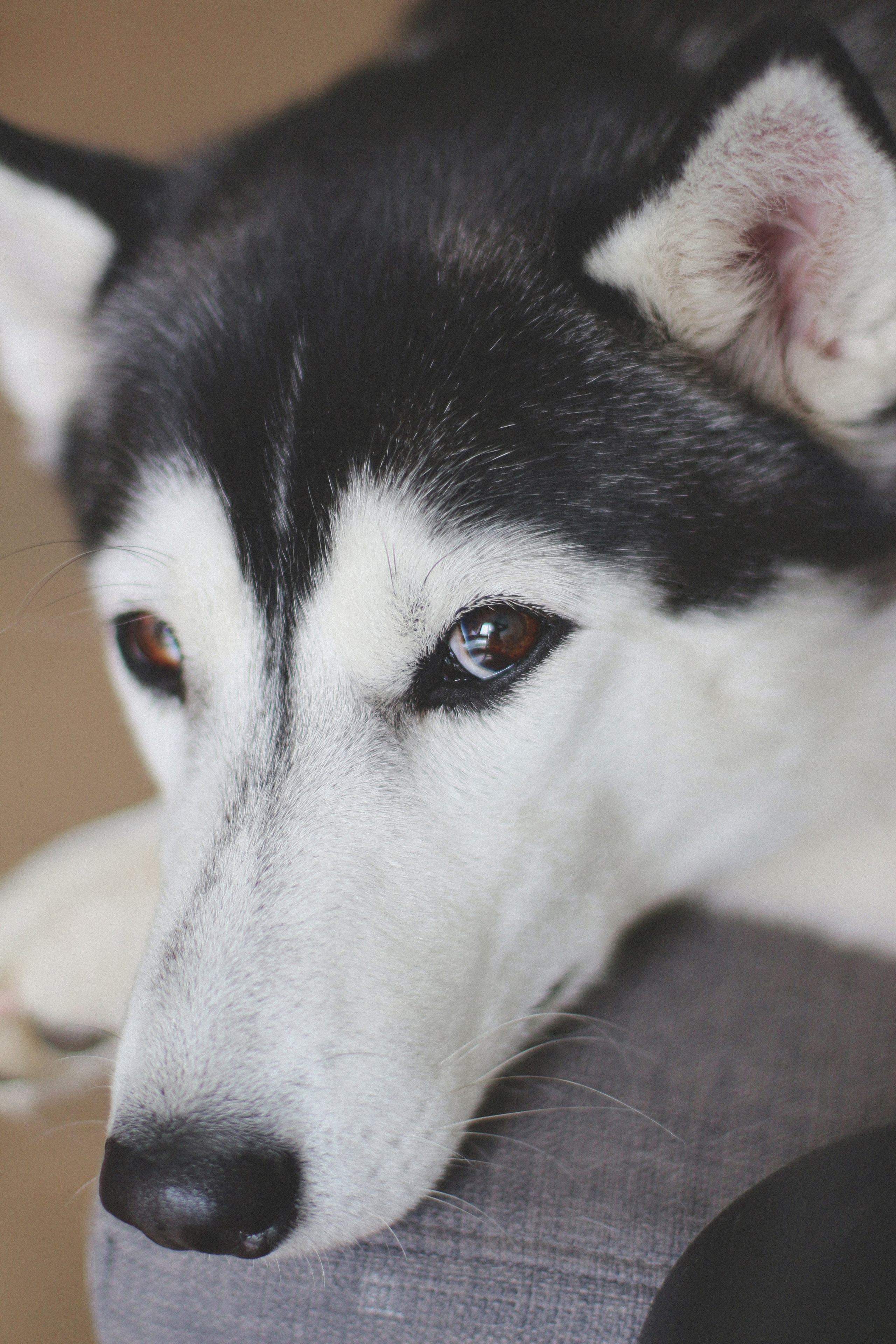 Марта. Фотограф Адигамова Юлия в Петербурге