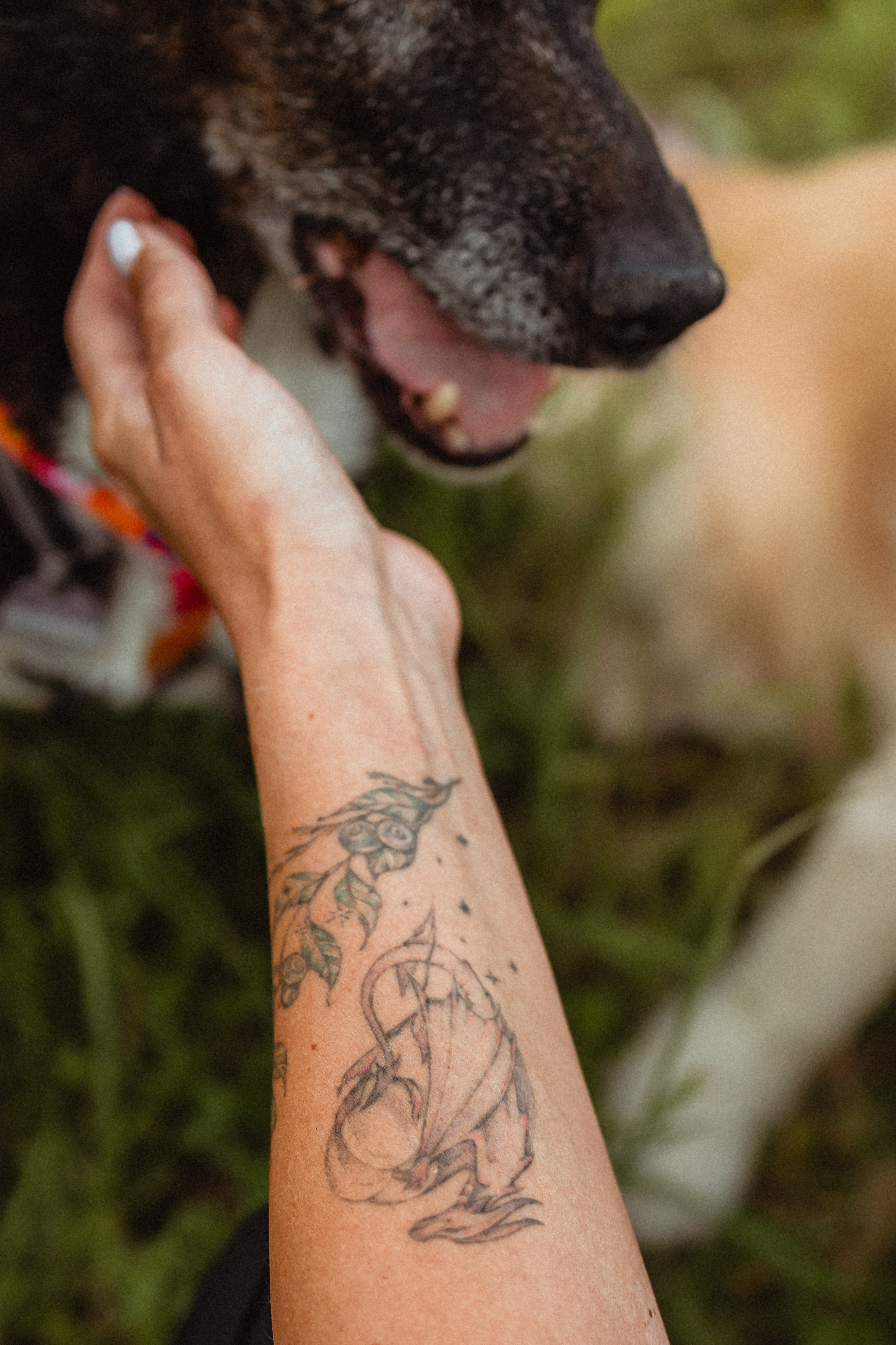 Выездной дог-тренинг от школы «Шерсть имею»