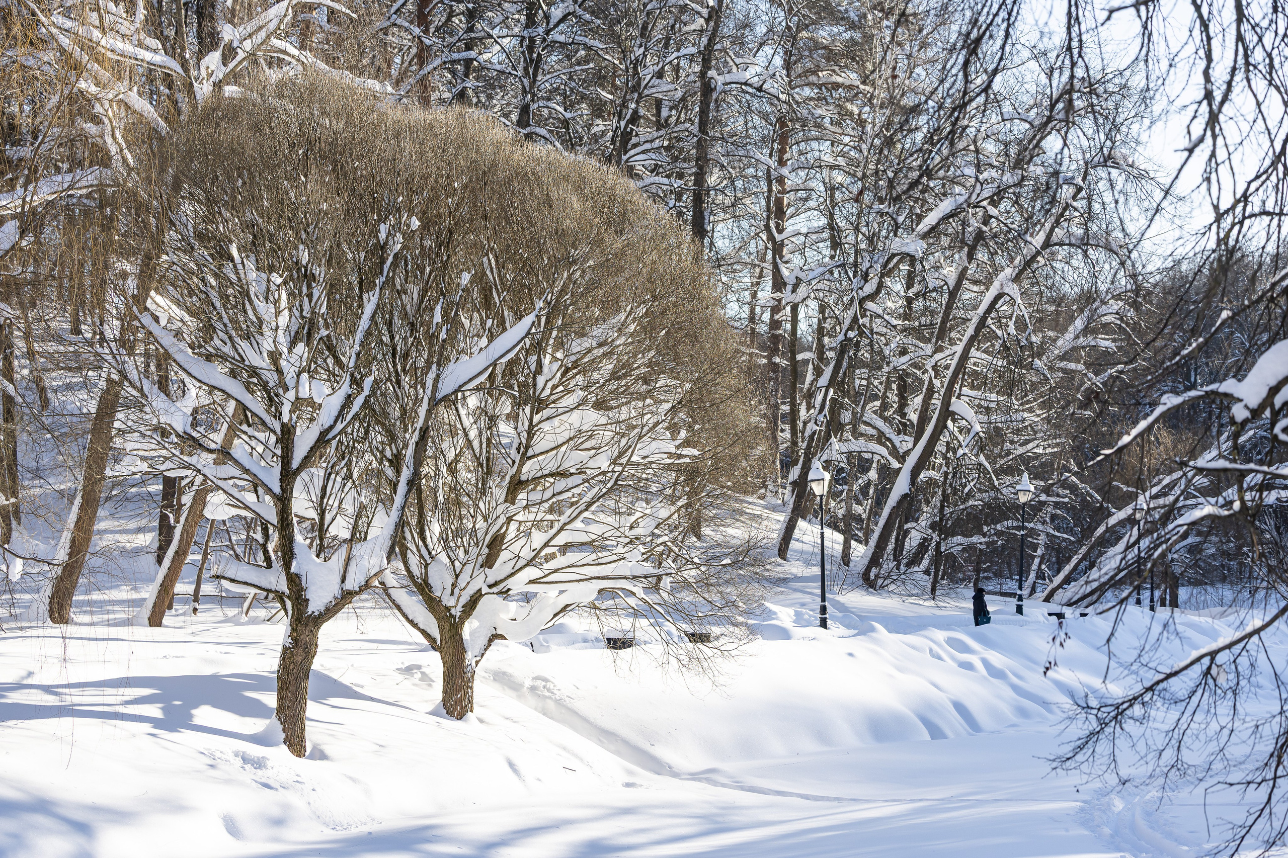 Природа. Фотограф Владимир Охрименко