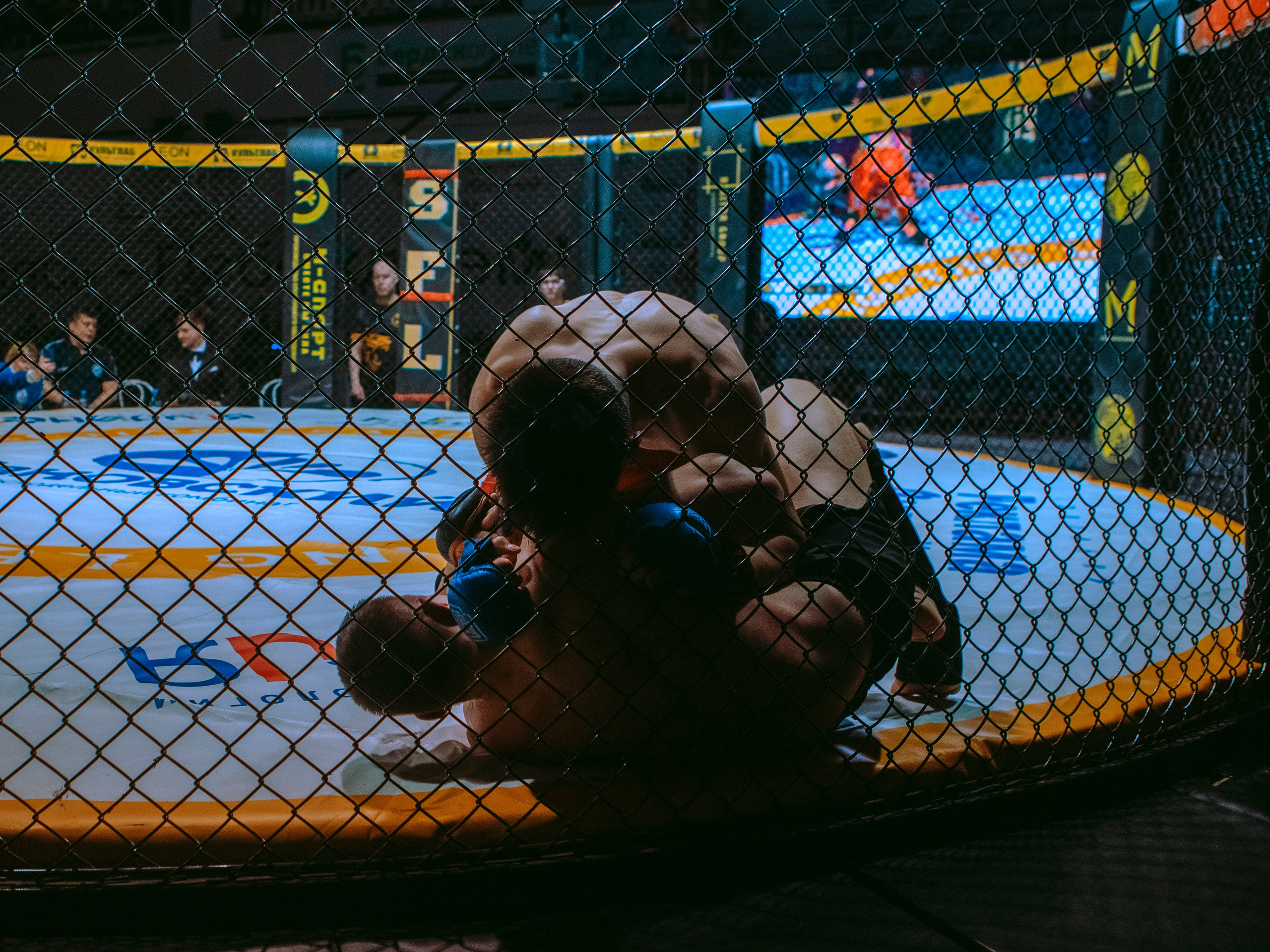 SFL 17 | Siberian Fighting League. Портретный фотограф в Москве Дарья Цезария