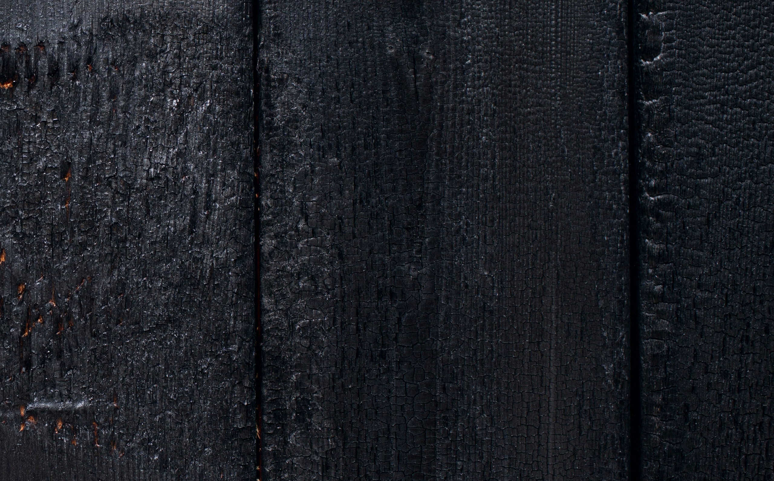 Выставка в доме Третьяковых. Фотограф в Москве Алейникова Евгения