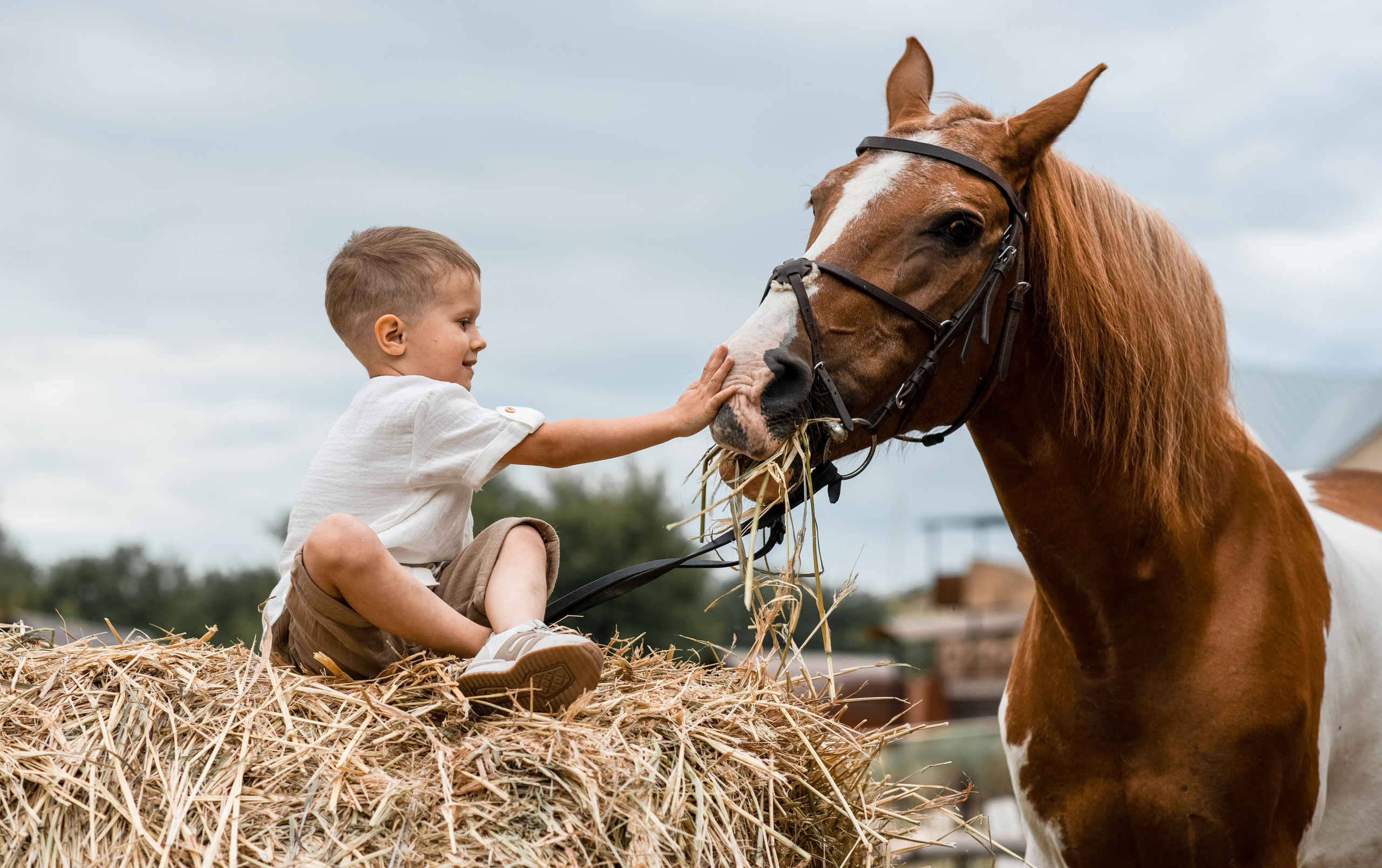 Дети и лошади. Конный фотограф в Саратове Юлия Иванова