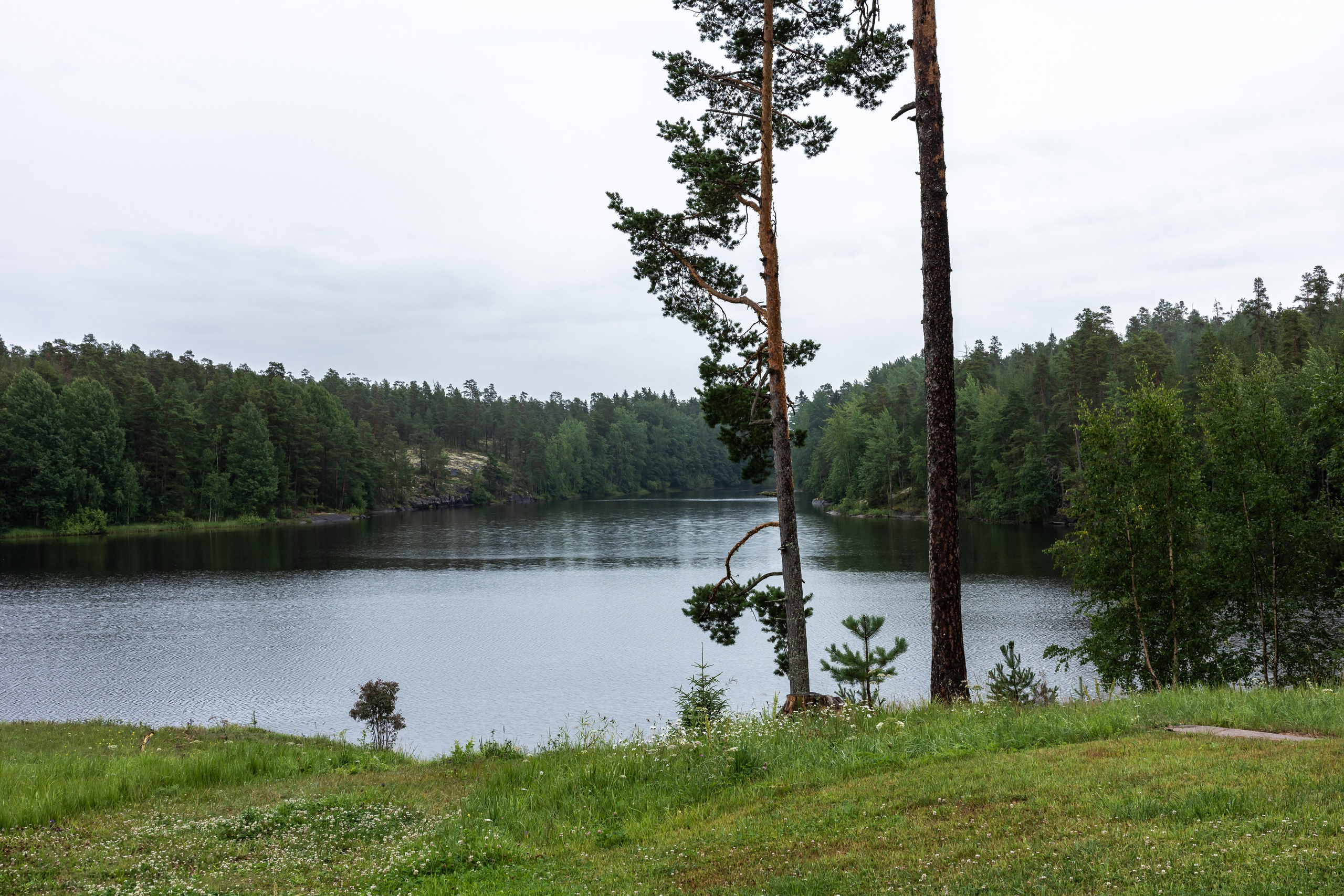 Карельская природа на Валааме