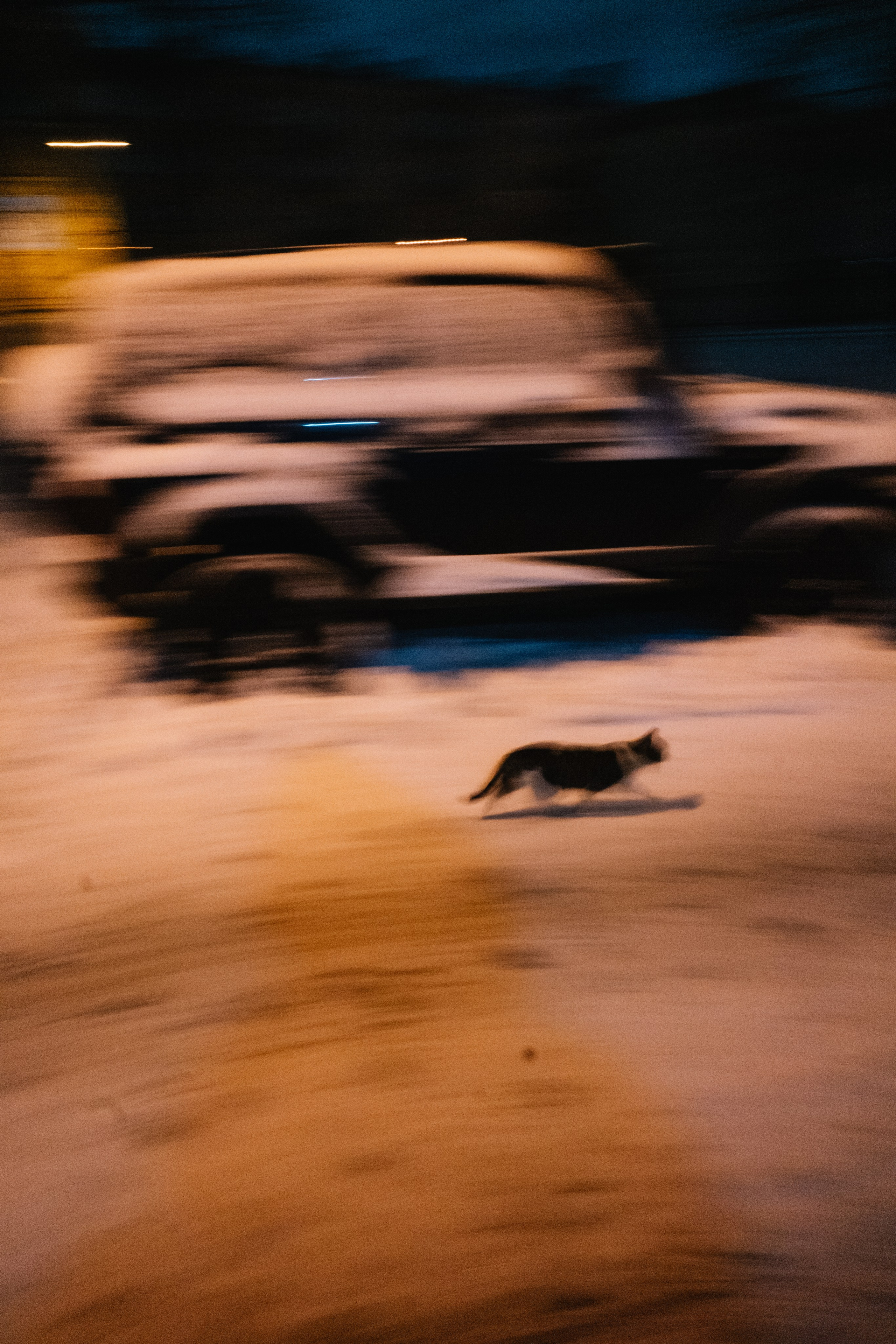 Репортаж. Stanislav Liepa Photography