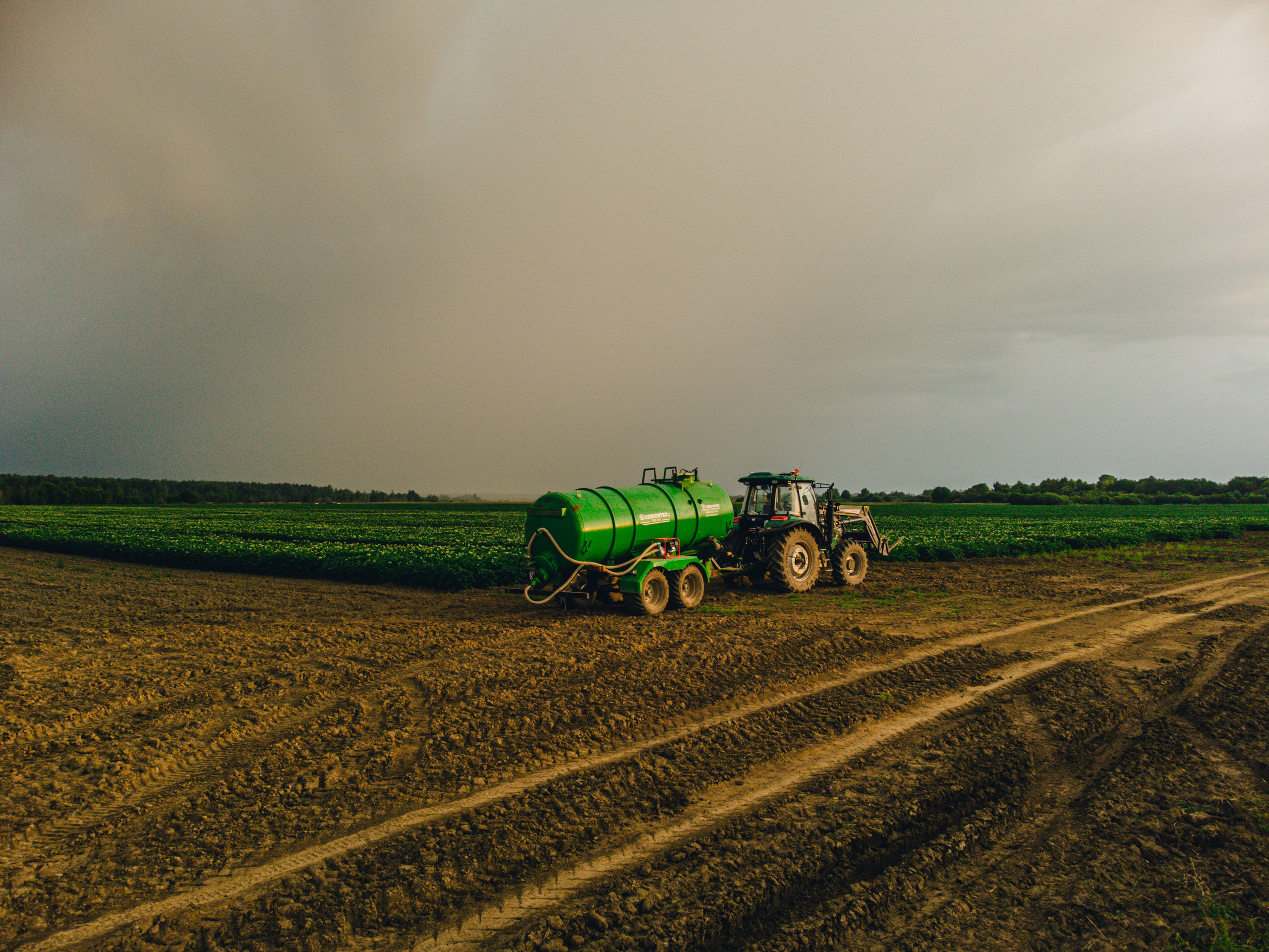 Удобрение картофеля при помощи трактора