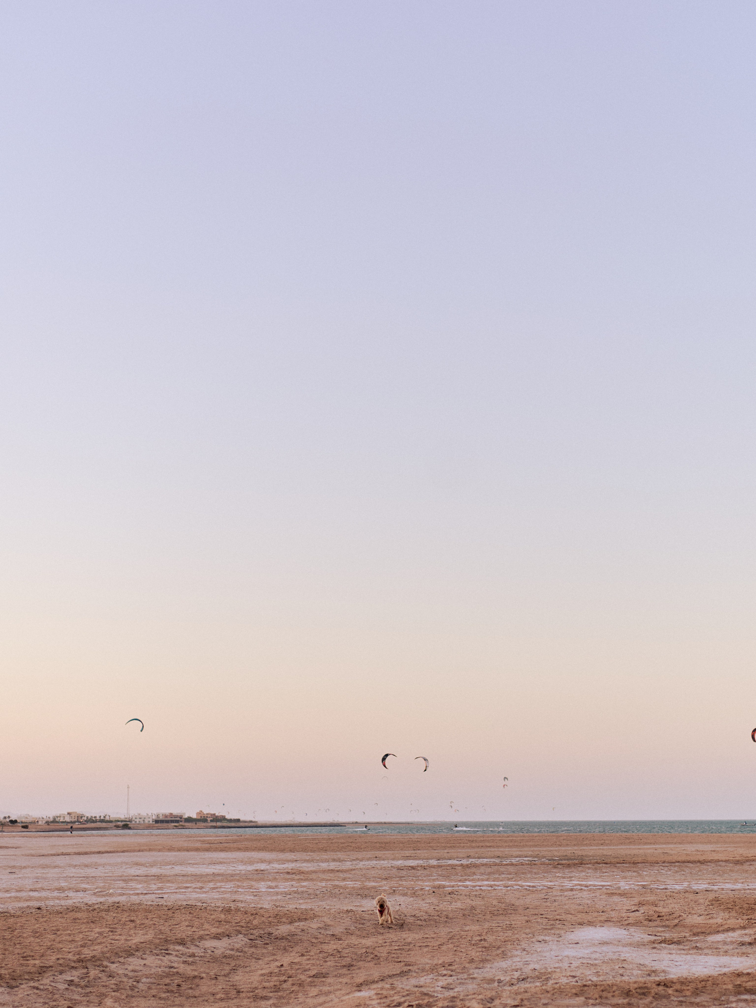 Другое 3. Jorgis Talè — photographer, kind person, teacher of arts and other mag