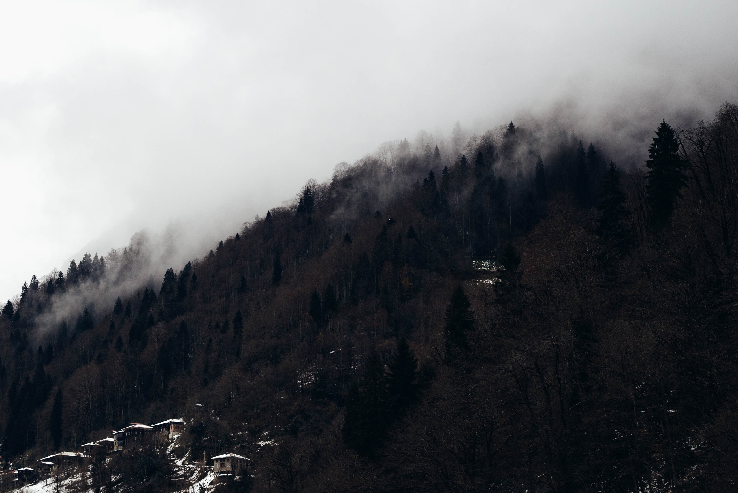 Ризе. Анна Лобанова | фотограф