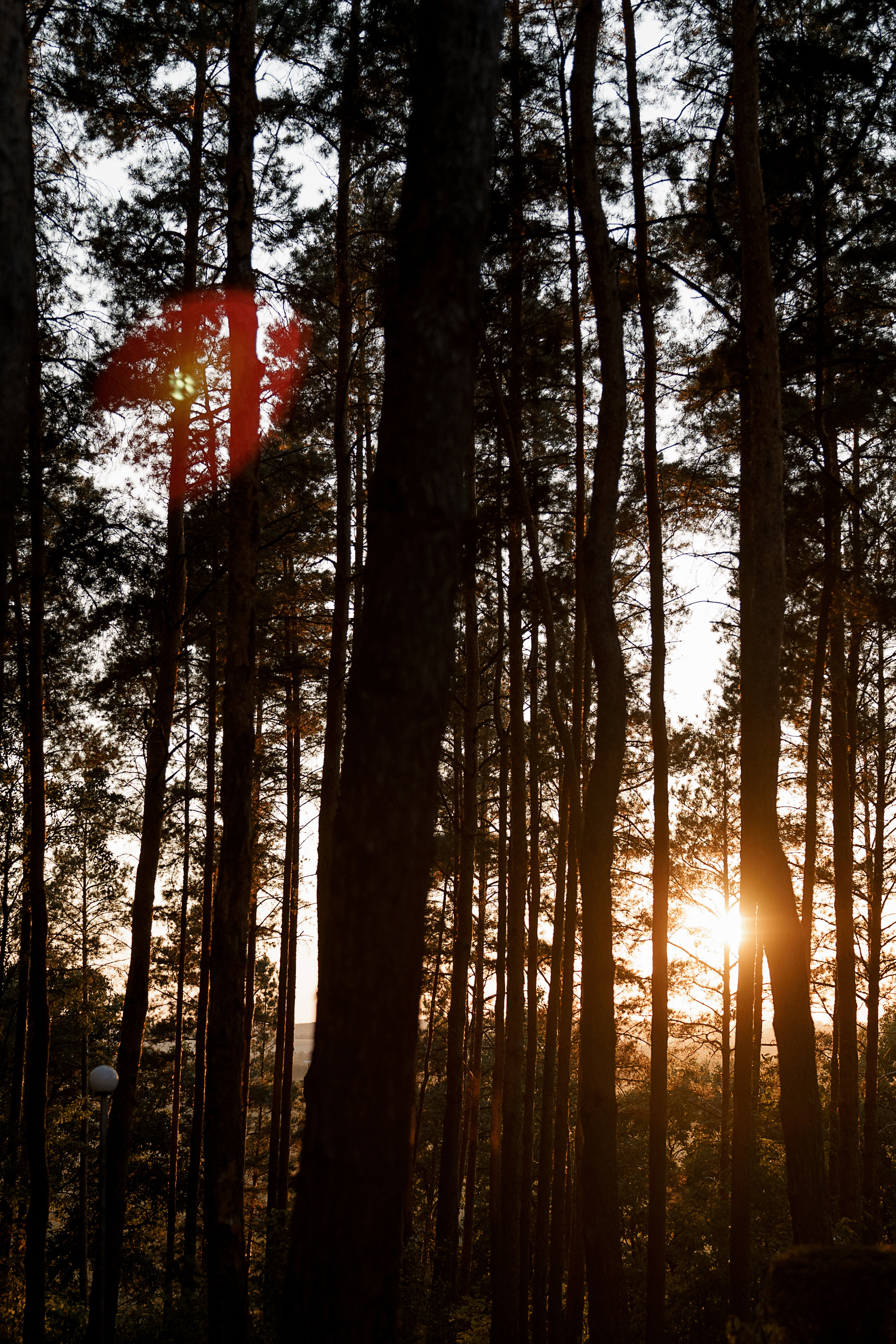 «Я буду всегда с тобой…». Свадебный фотограф Марина Бобкова в Липецке, Воронеже, Москва