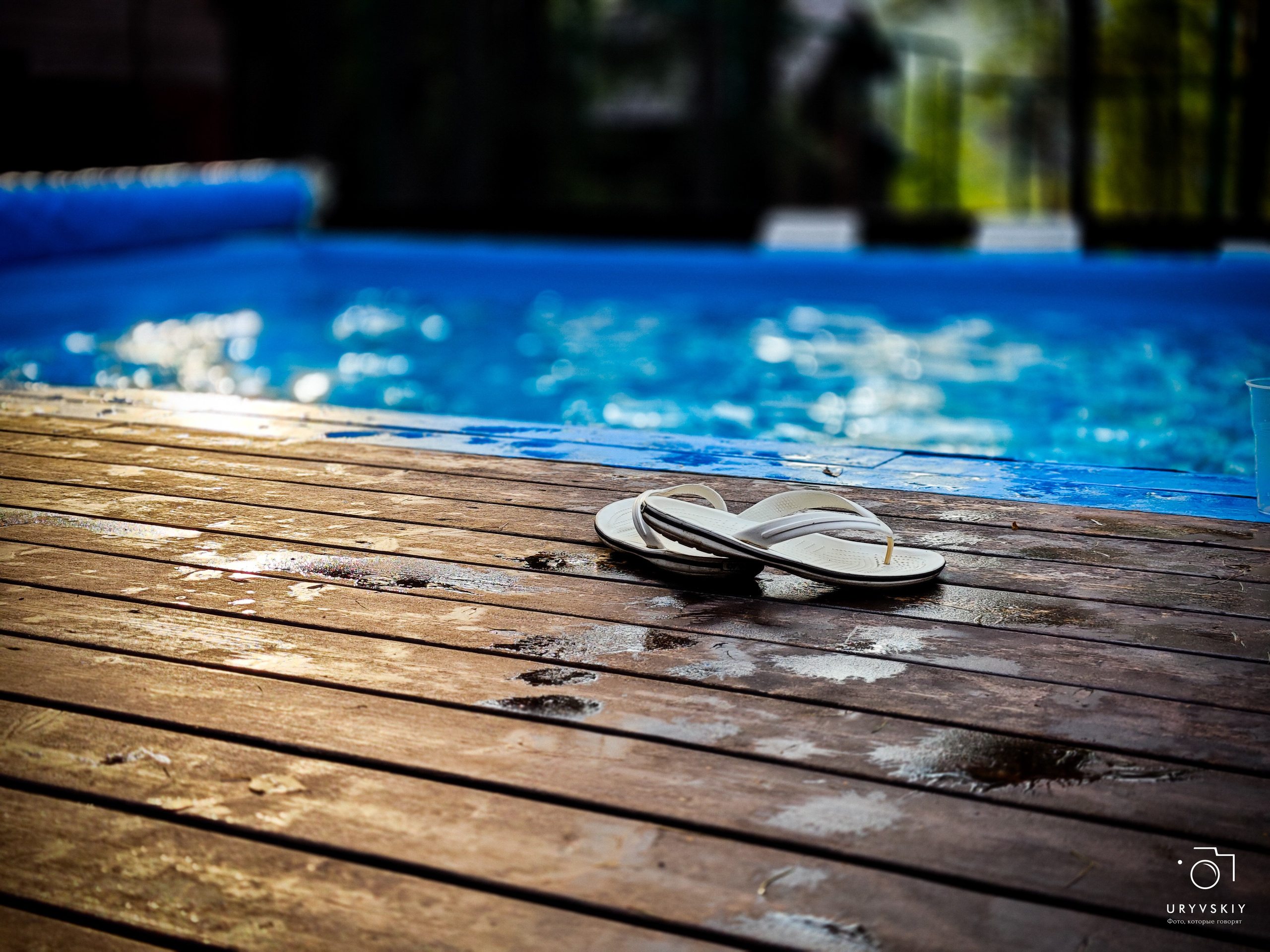 Командор, Хороший. День торговли 2025. Игорь Урывский. Фотограф Красноярск