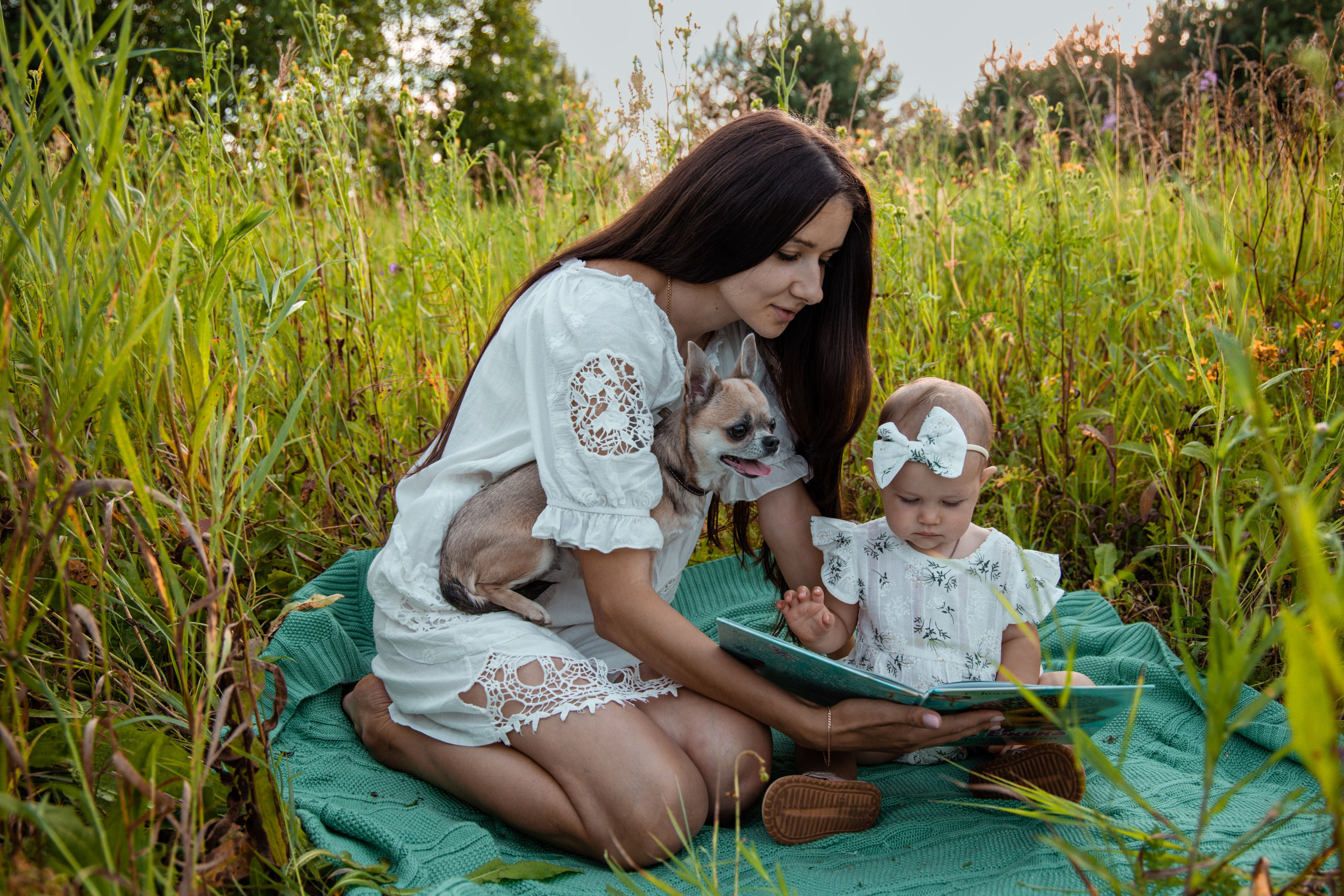 Фотограф Татьяна Марсуверских г. Жуковский, Москва и Мо. Репортажные съёмки, фотосессии,  фотограф анималист, фотосъёмка животных. Фотограф для маркетплейсов, фотоуслуги в Жуковском Татьяна Марсуверских
