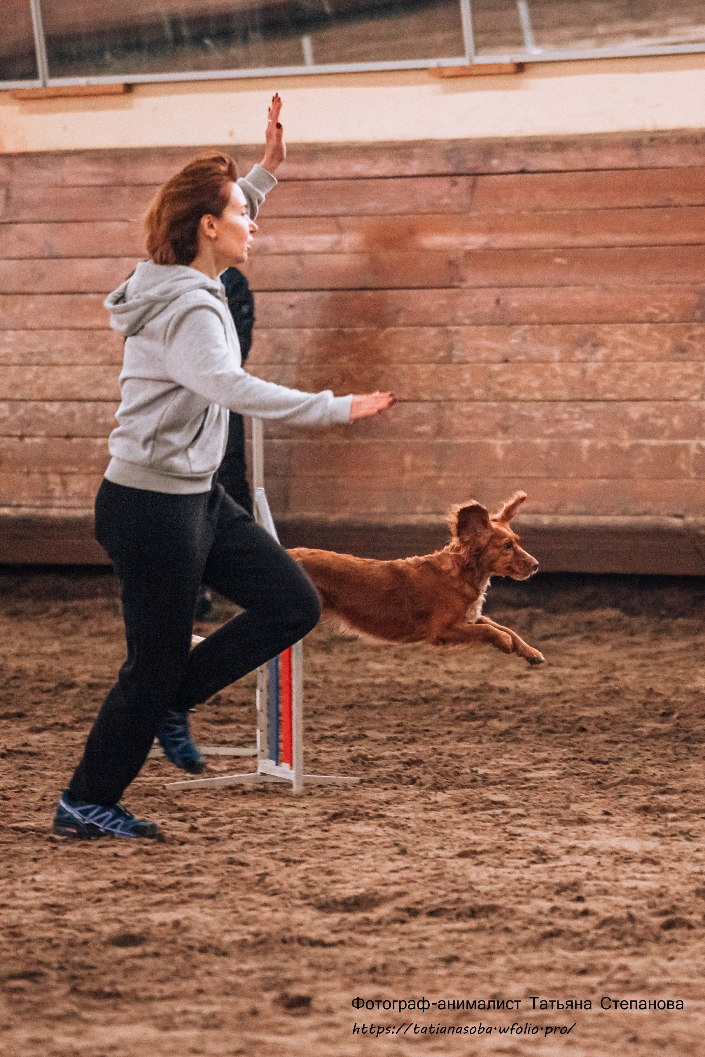 Соревнования по Аджилити 25.02.2024. Фотограф-анималист Татьяна Степанова