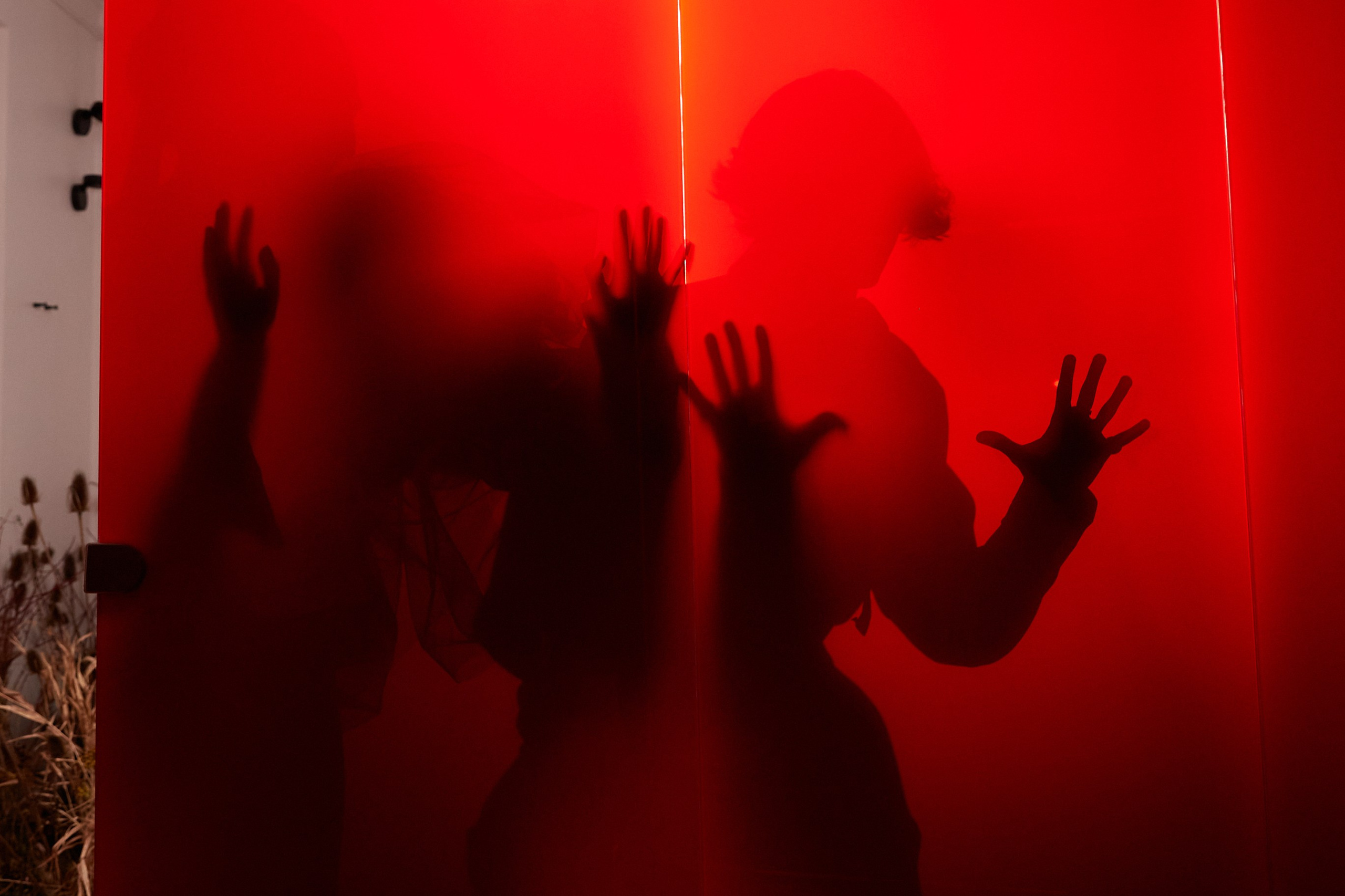 Лера & Вова. Оформление свадеб, декор свадеб Вера Маркова, Москва