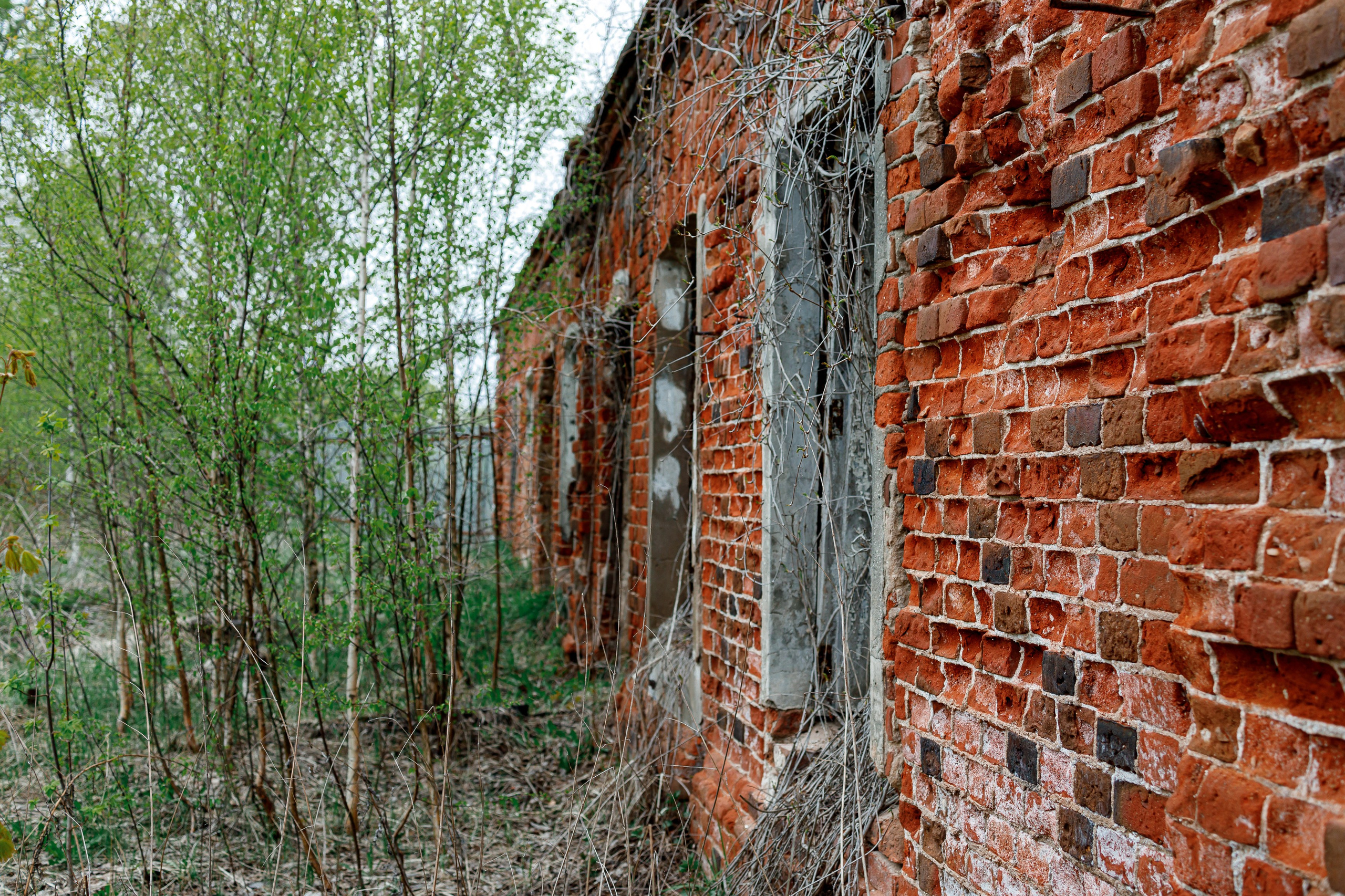 Непривычная фотография. Репортажный и портретный фотограф в Москве Саханцева Анна