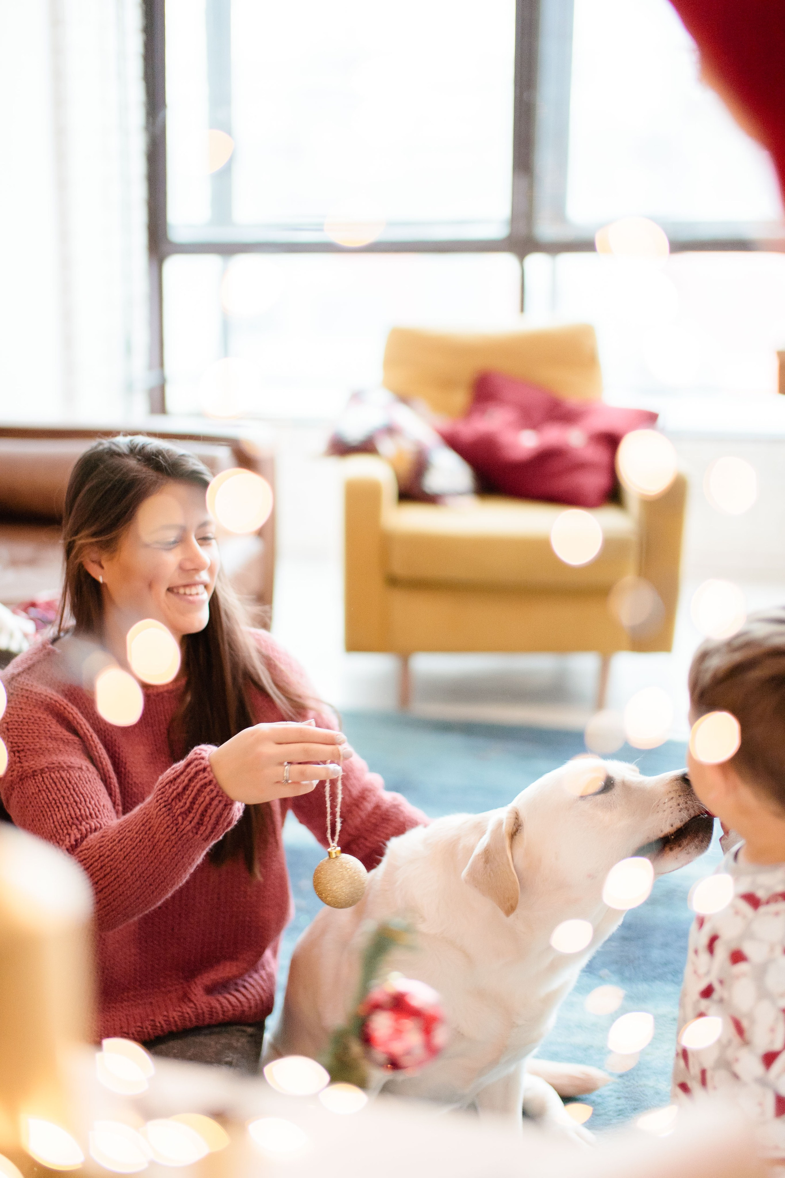 Семейная Новогодняя фотосессия в студии, фотограф в Москве