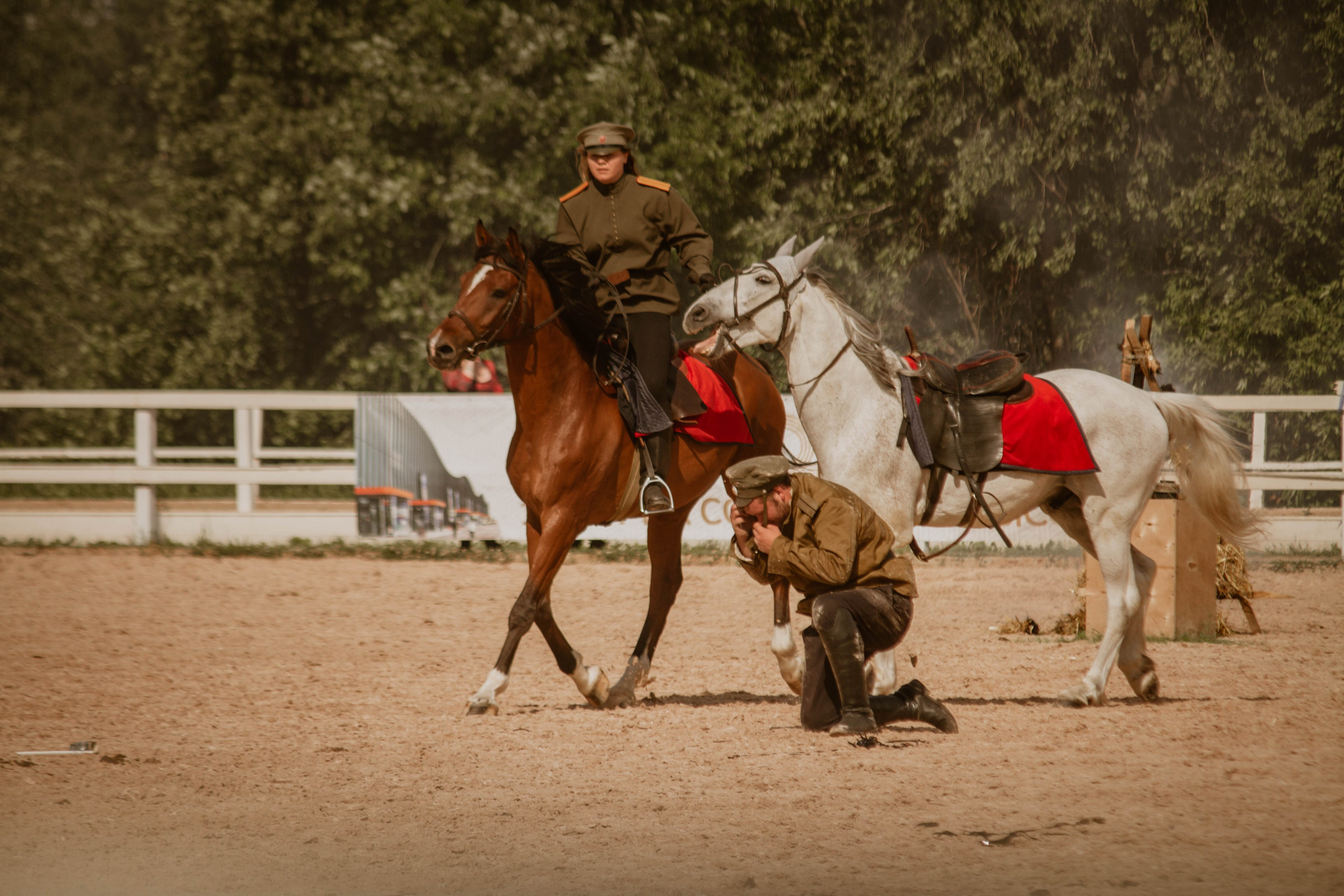 ИППОСФЕРА — Международная конная выставка. Создадим шедевр? Виталина и её фотоискусство