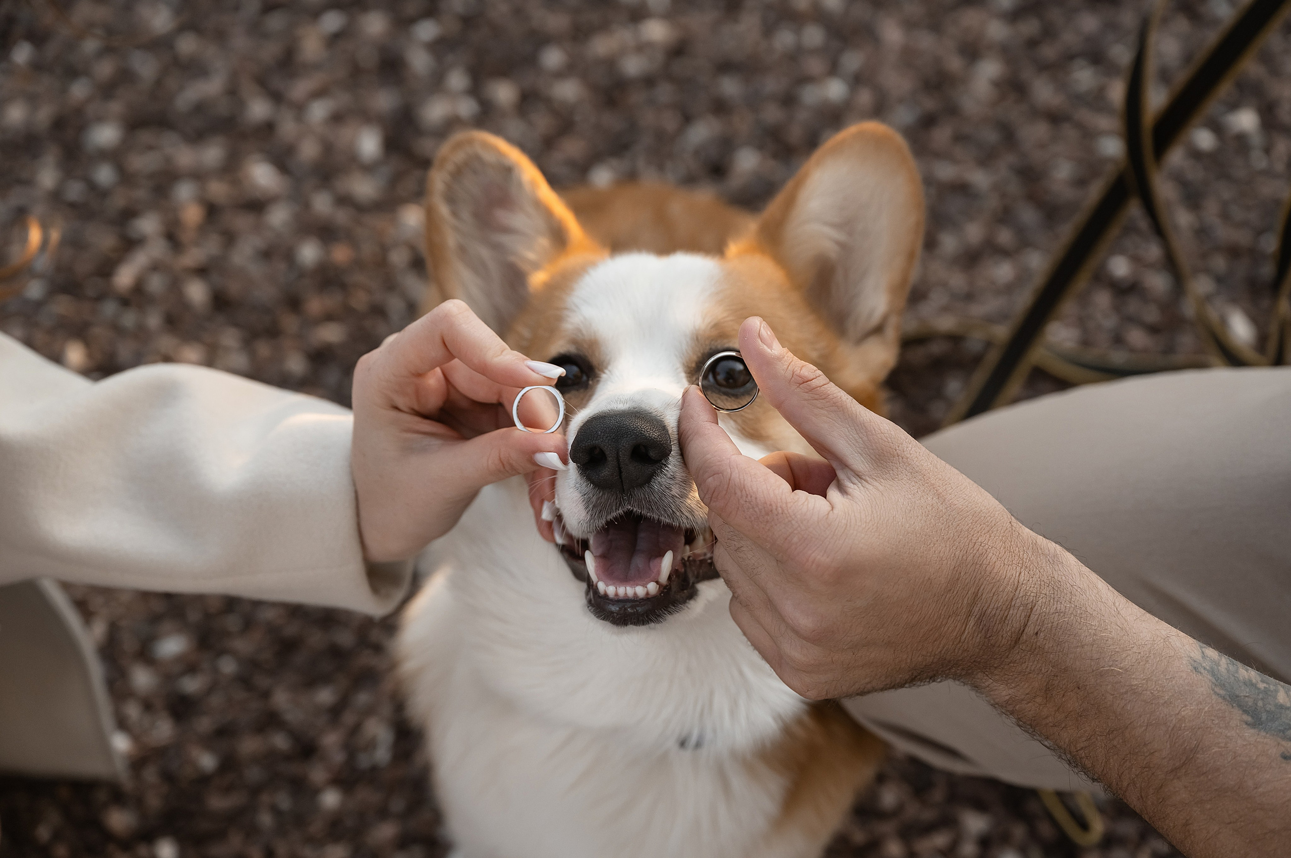 Саша и Лера. Свадебный фотограф и видеограф