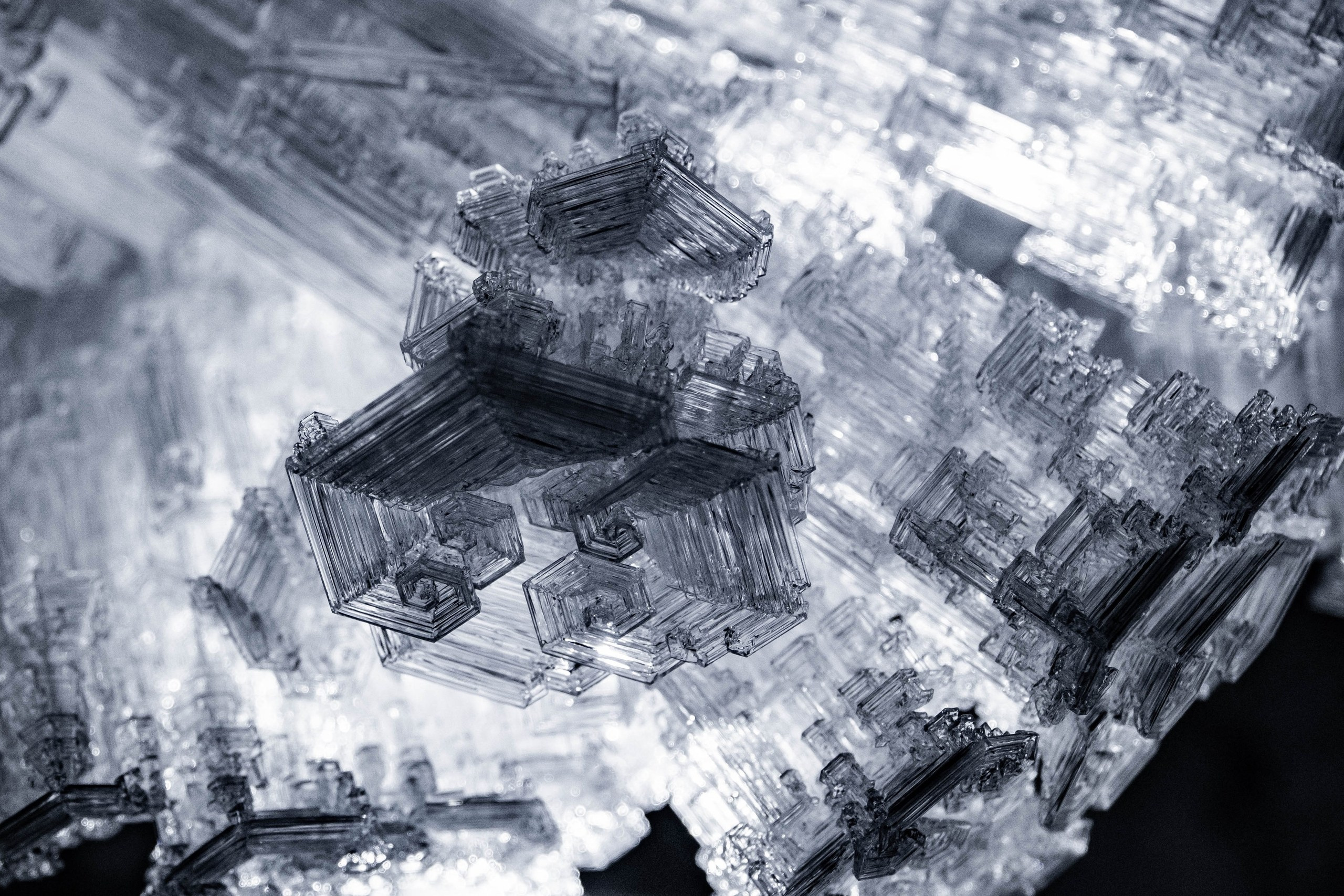 Begomvprofcom.wfolio.pro